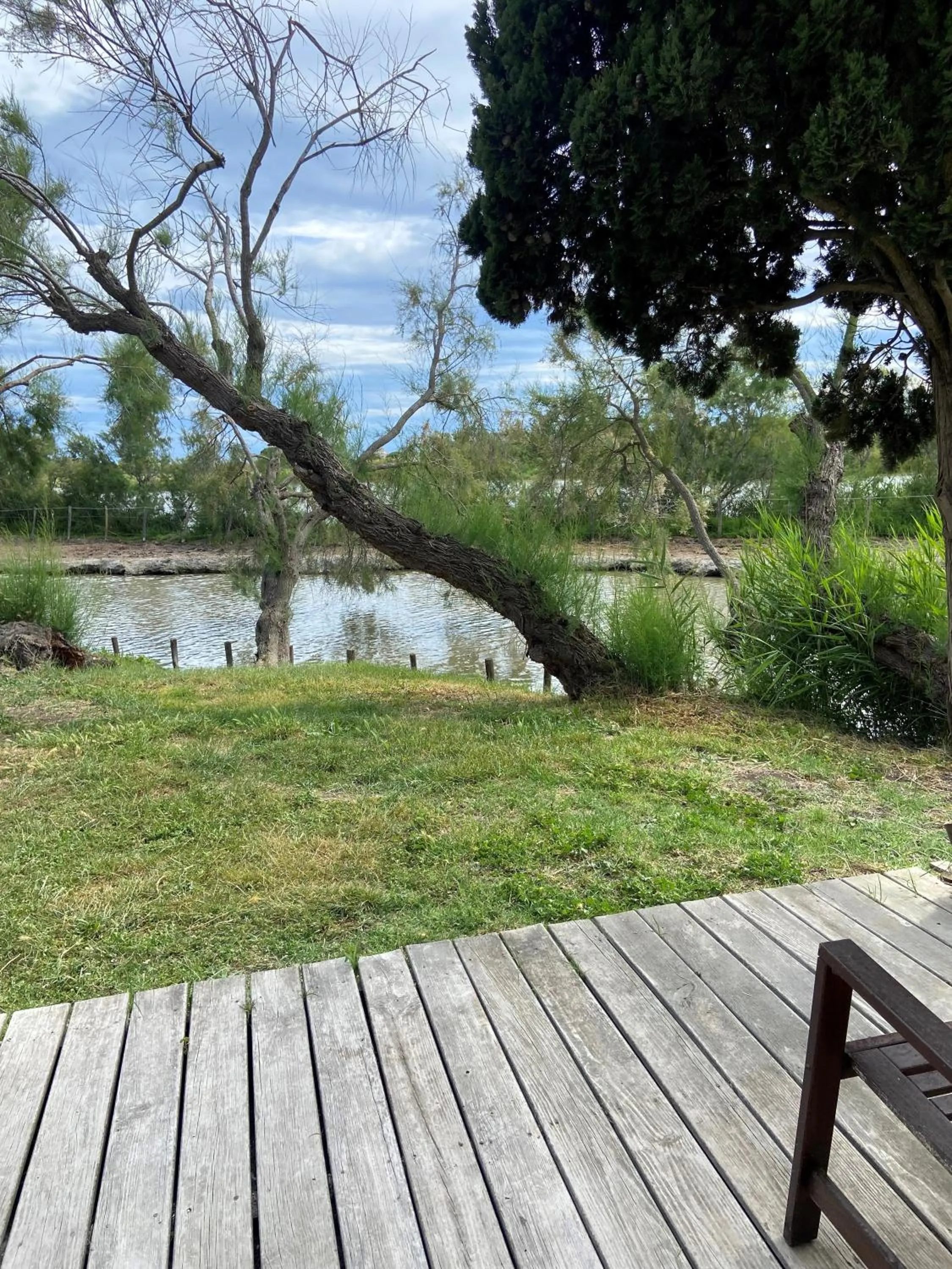 Garden view in Les Bains Gardians