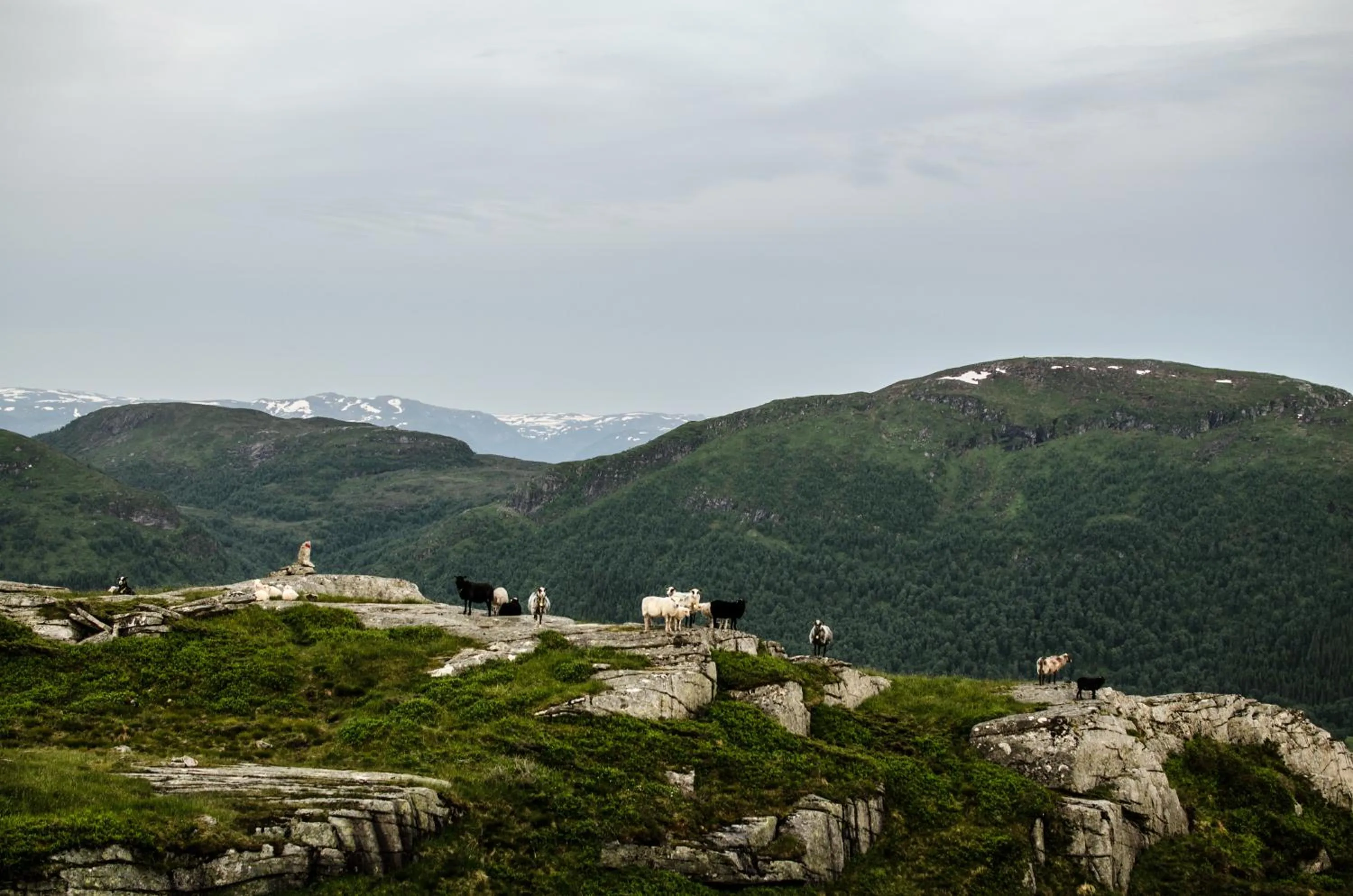 Natural landscape in Lavik Fjord Hotel & Apartments