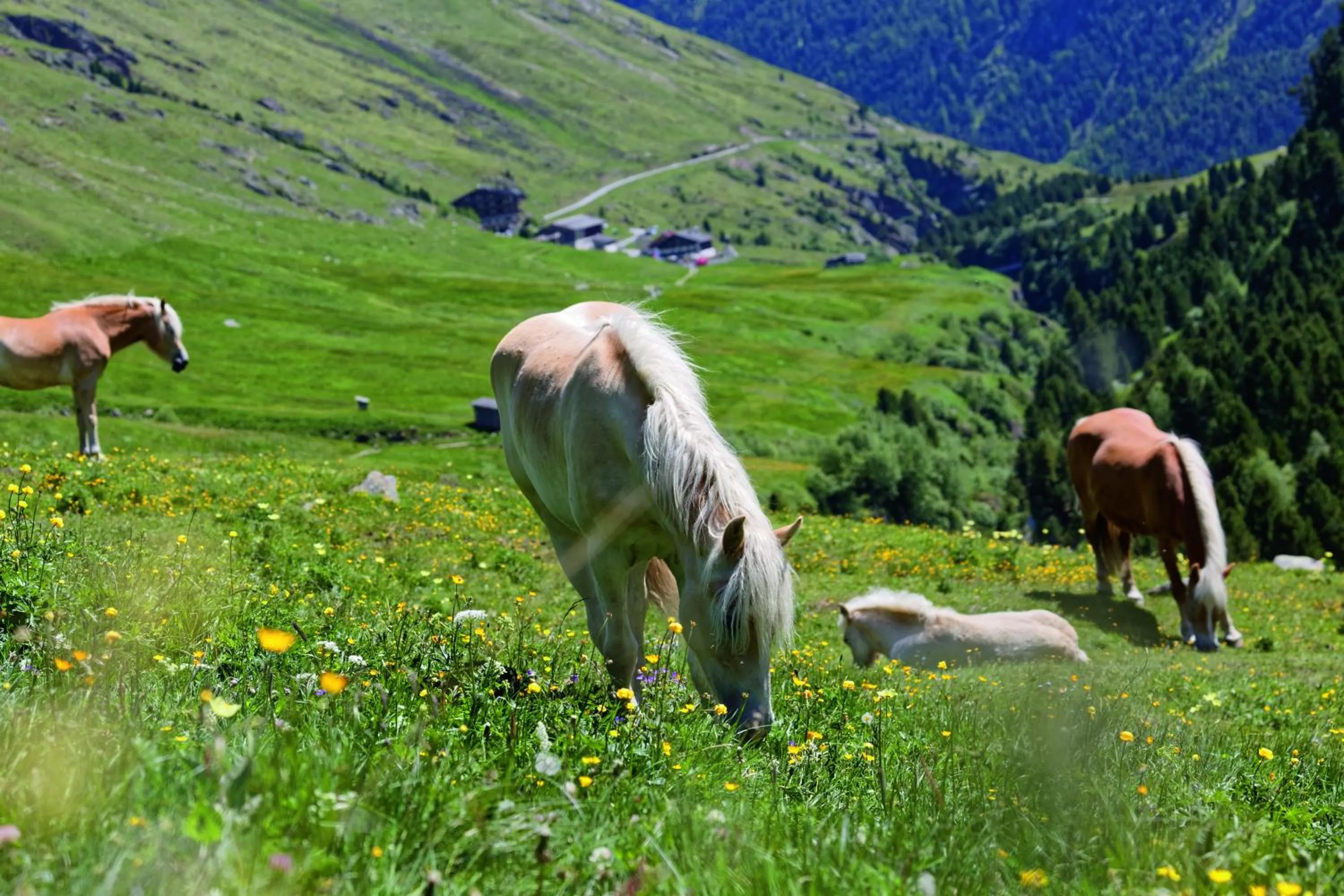 Gasthof Geierwallihof Klotz Konrad KEG