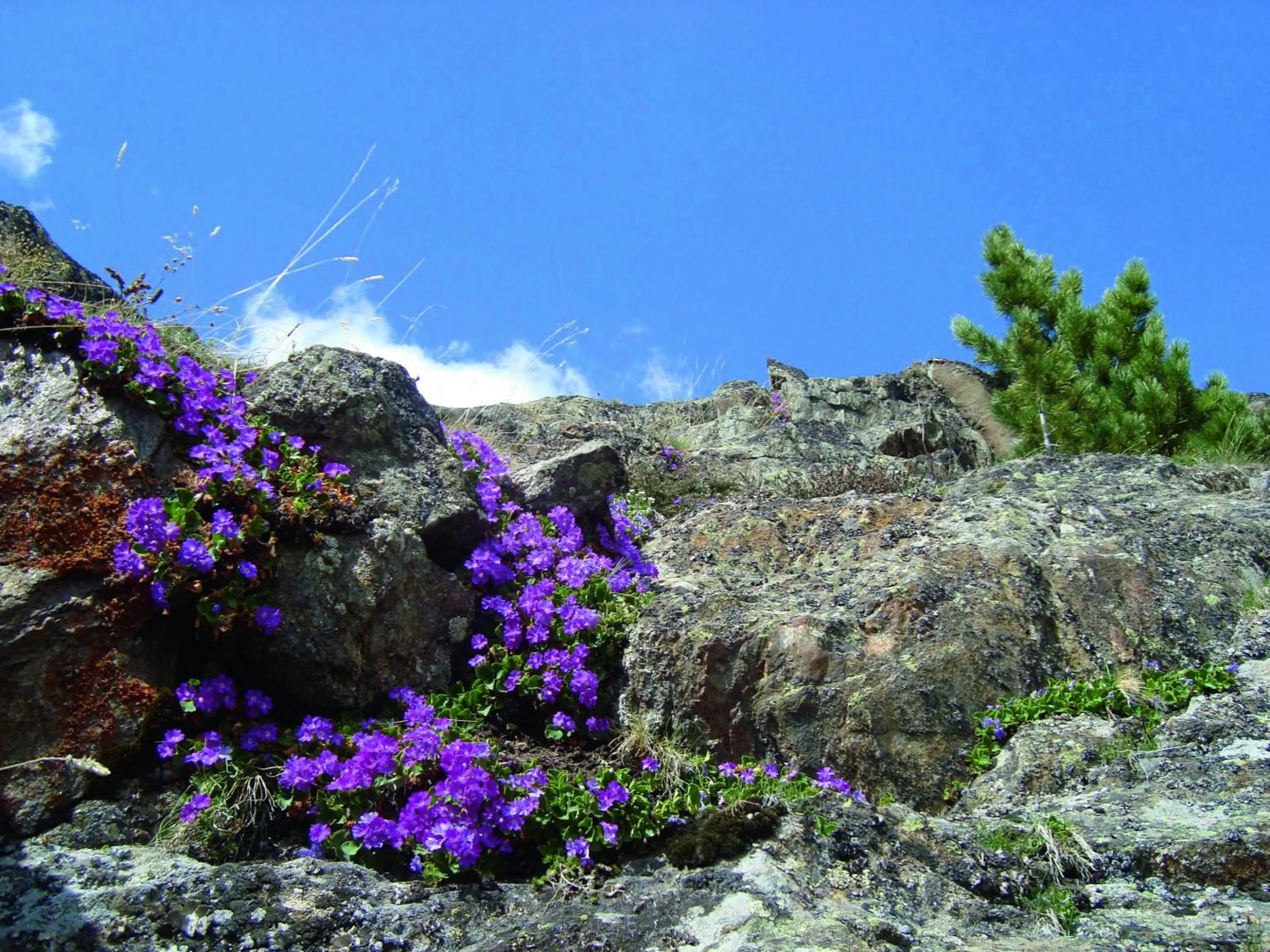Gasthof Geierwallihof Klotz Konrad KEG