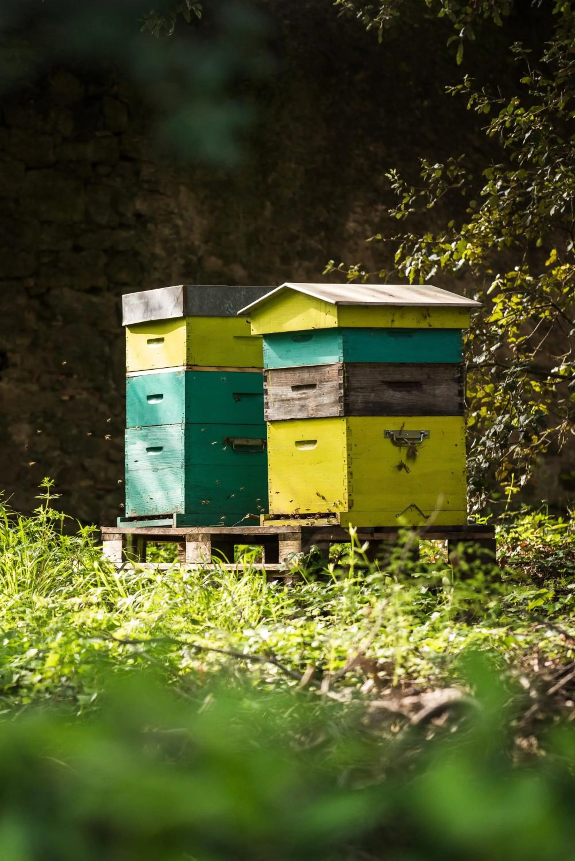 Garden in Domaine d'Auriac - Relais & Châteaux