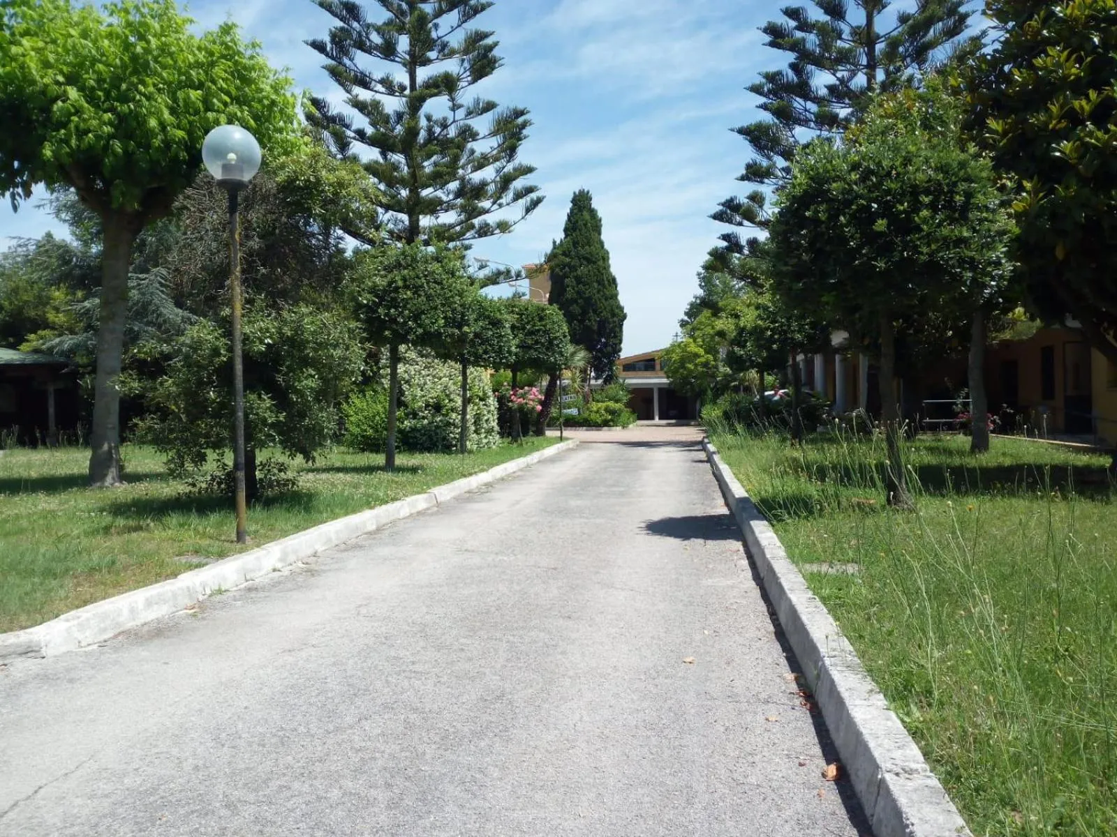 Garden view in Hotel Mercede 2
