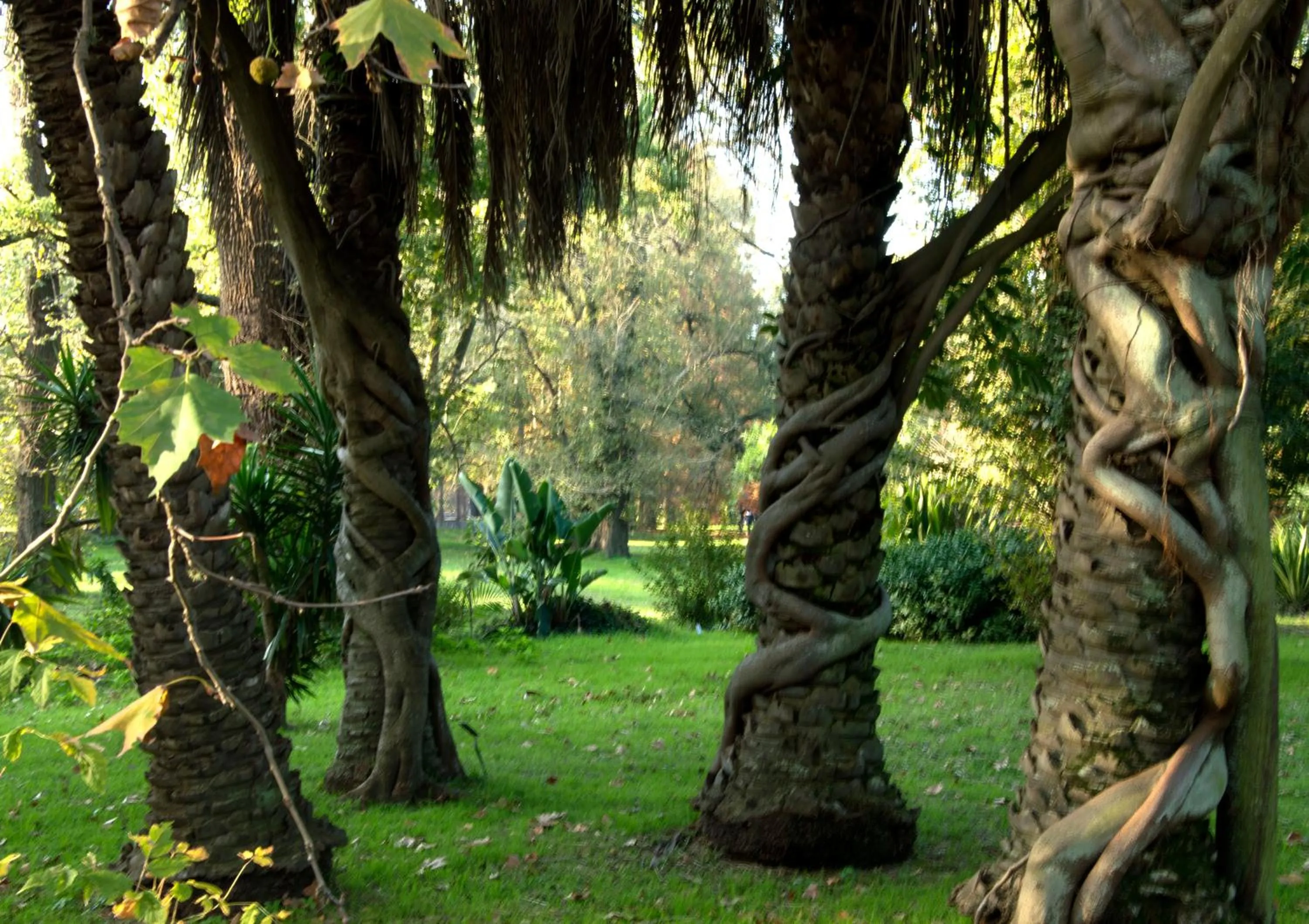 Neighbourhood in Cane B&B