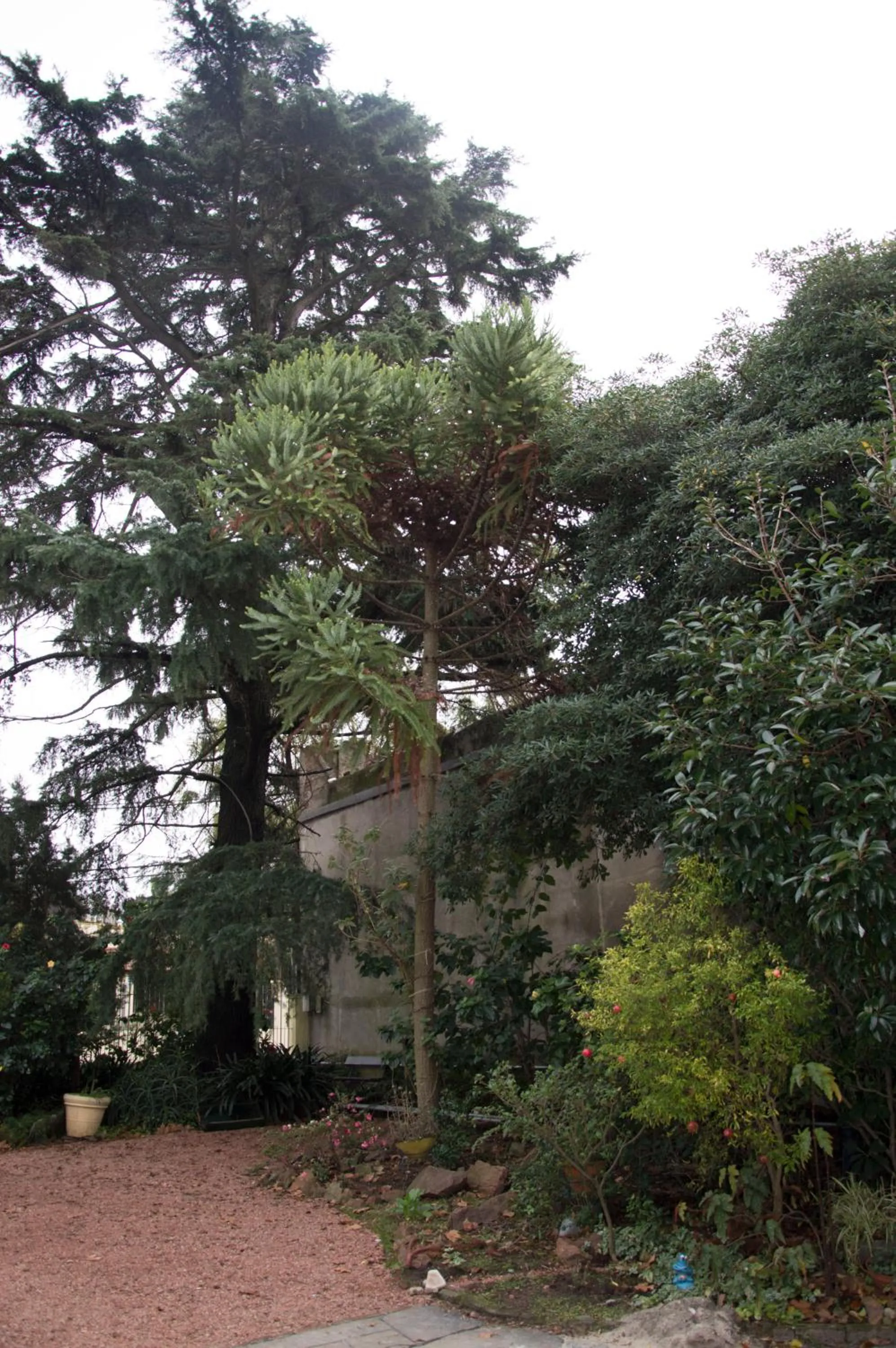 Natural landscape in Cane B&B