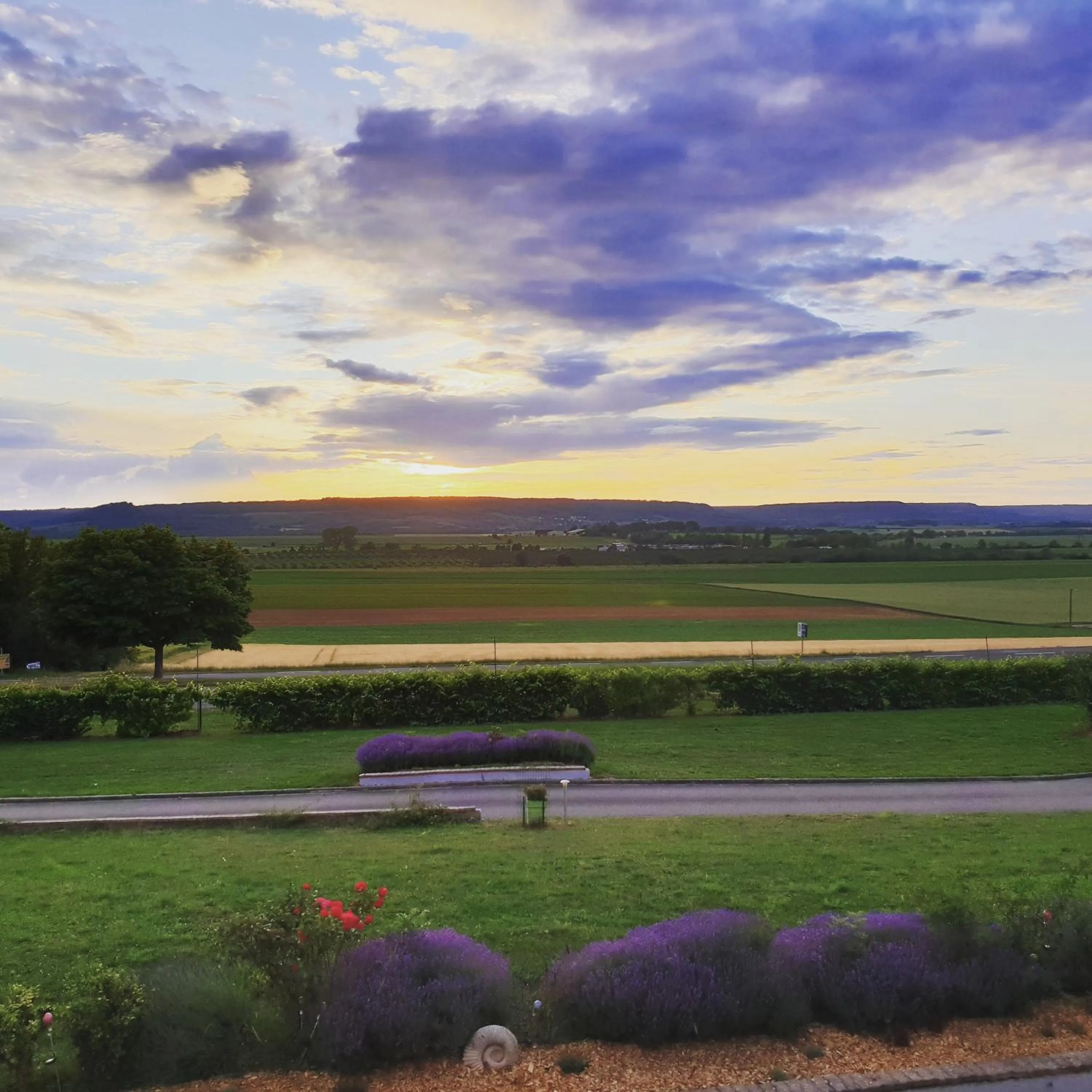 Logis Hotel- Restaurant La Haie Des Vignes Séminaires et Evènementiel