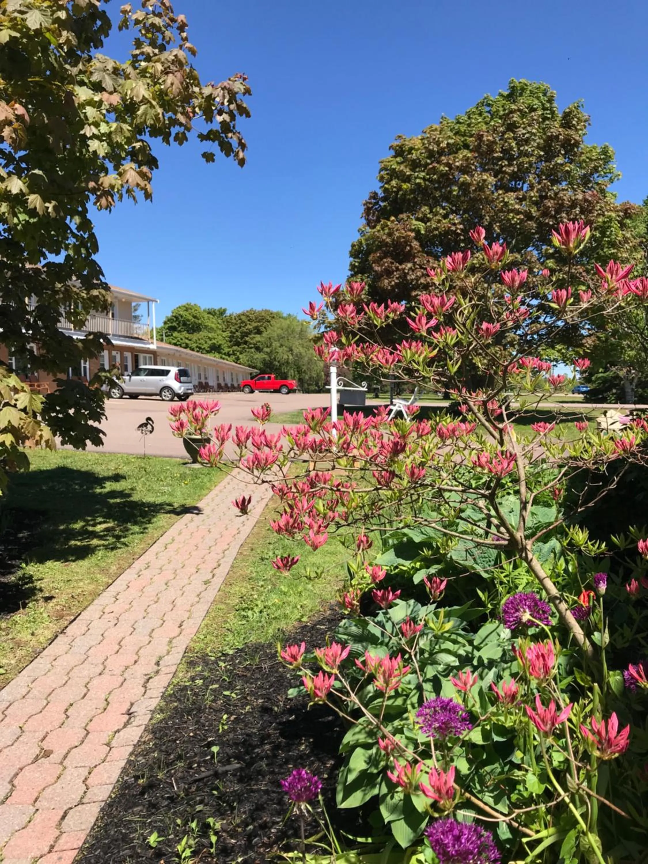 Garden in Fair Isle Motel