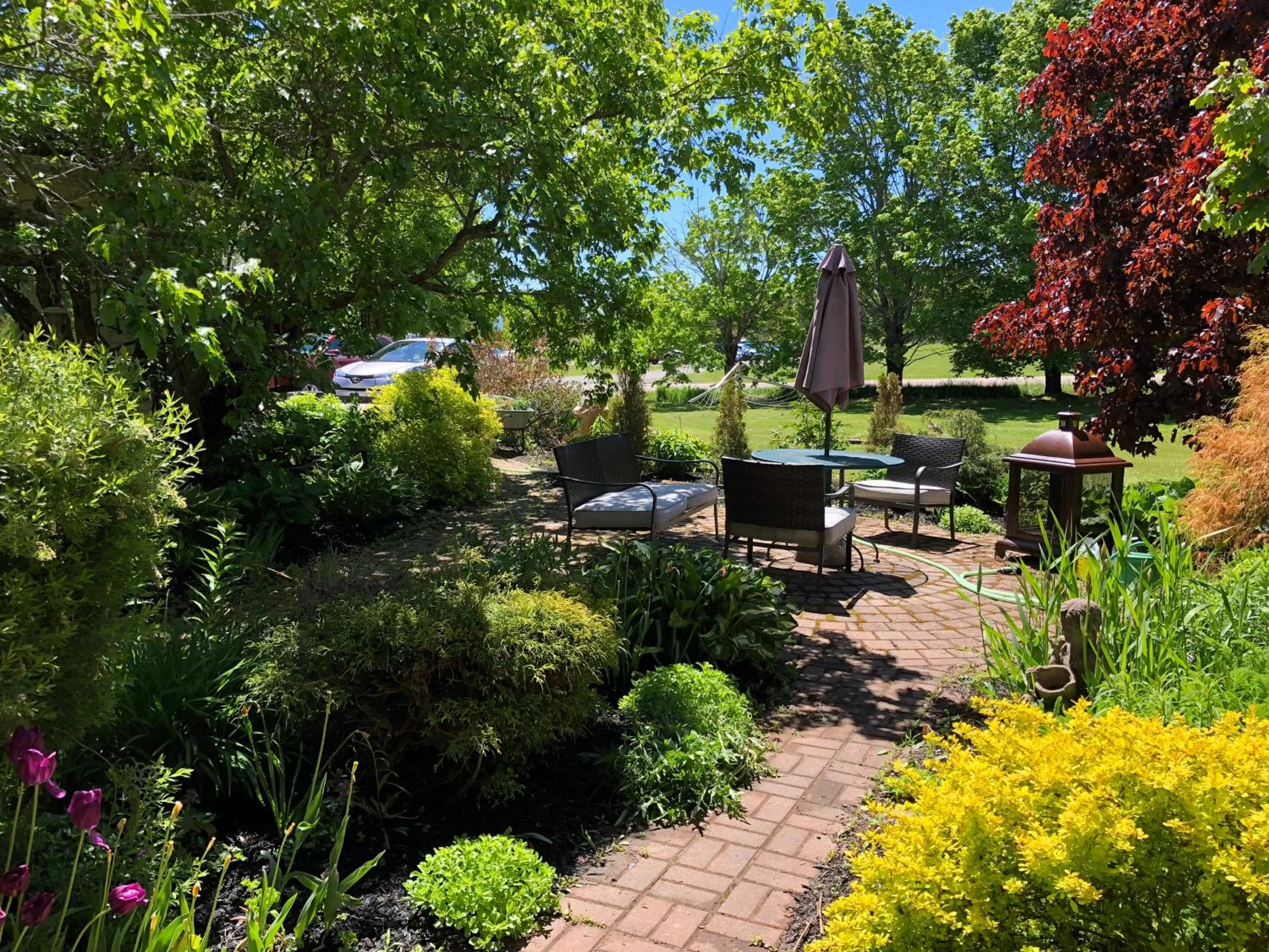 Garden in Fair Isle Motel