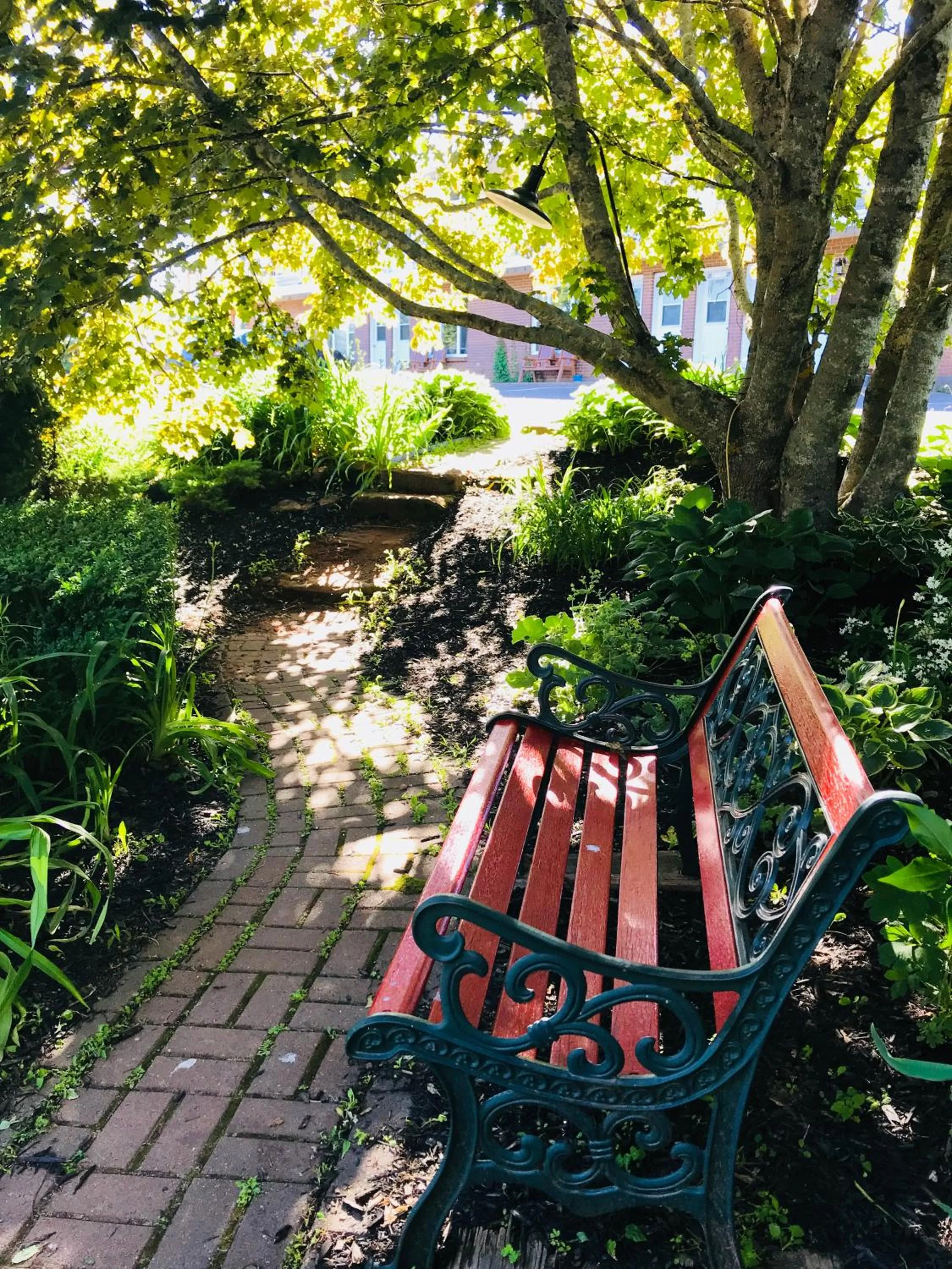 Garden view in Fair Isle Motel