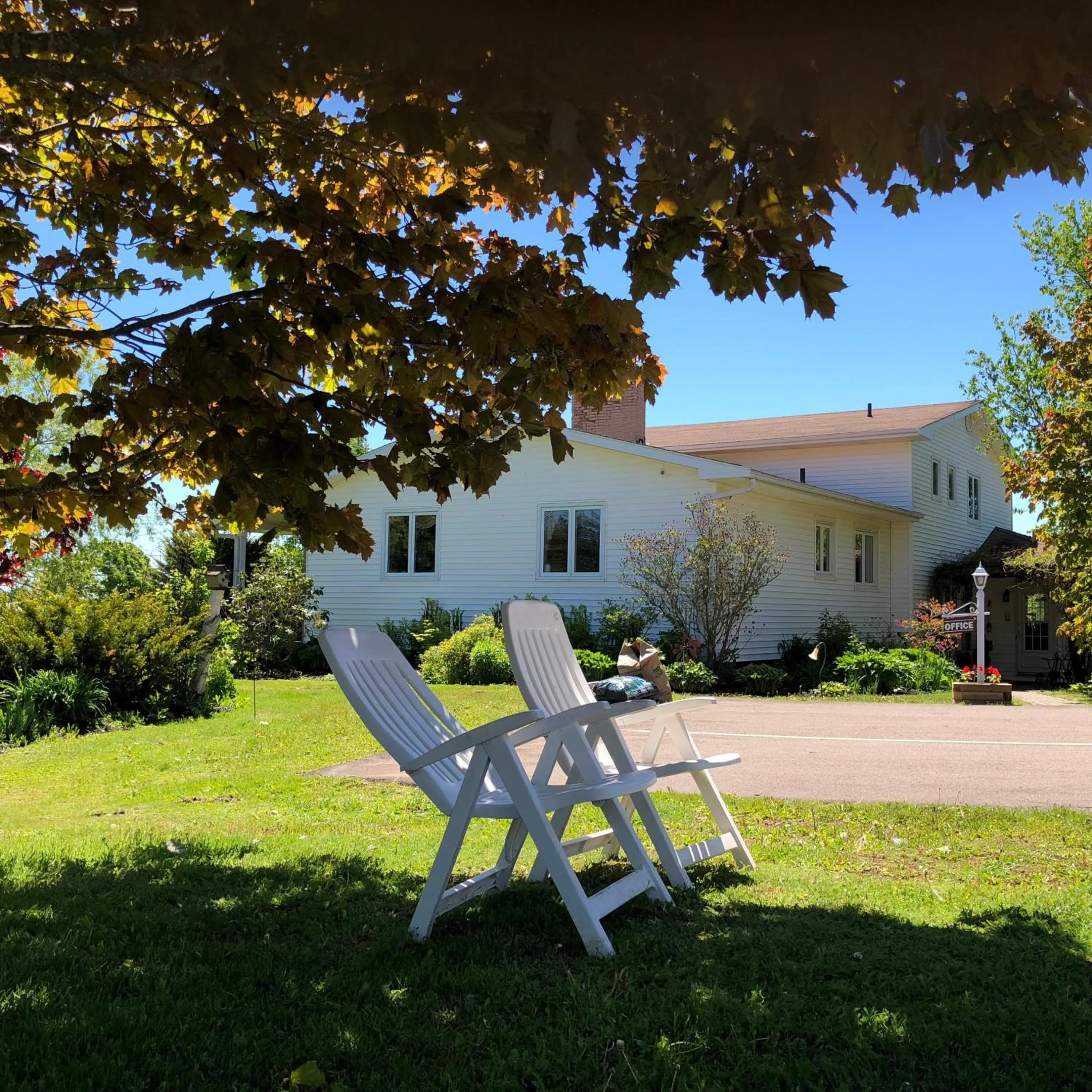 Garden view in Fair Isle Motel