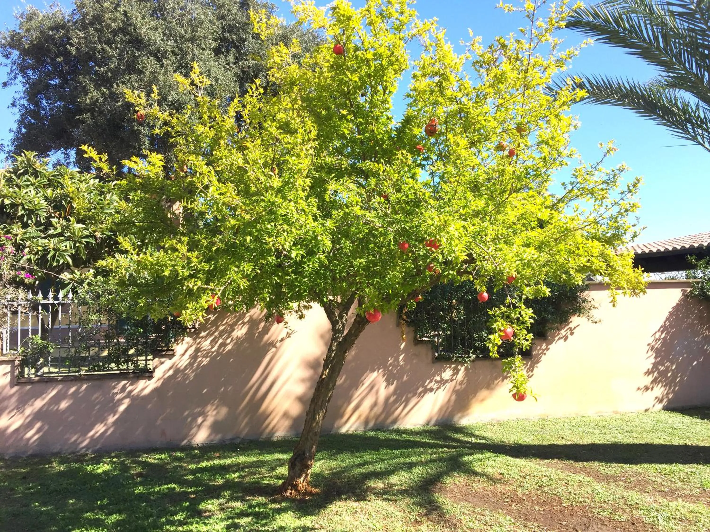 Domus Leonardo-Private Free Parking