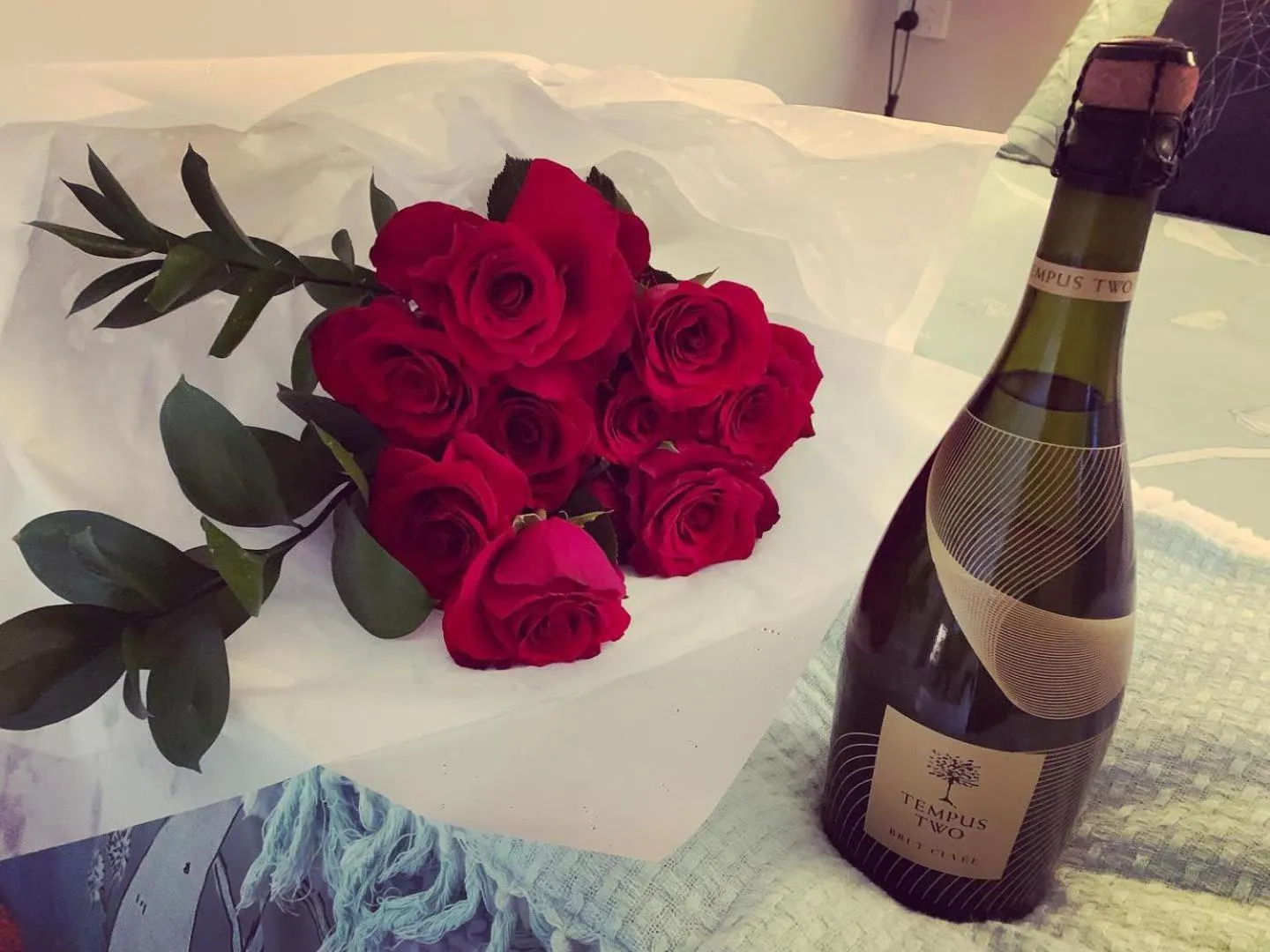 Churchill's B&B twin spa getaway Studio