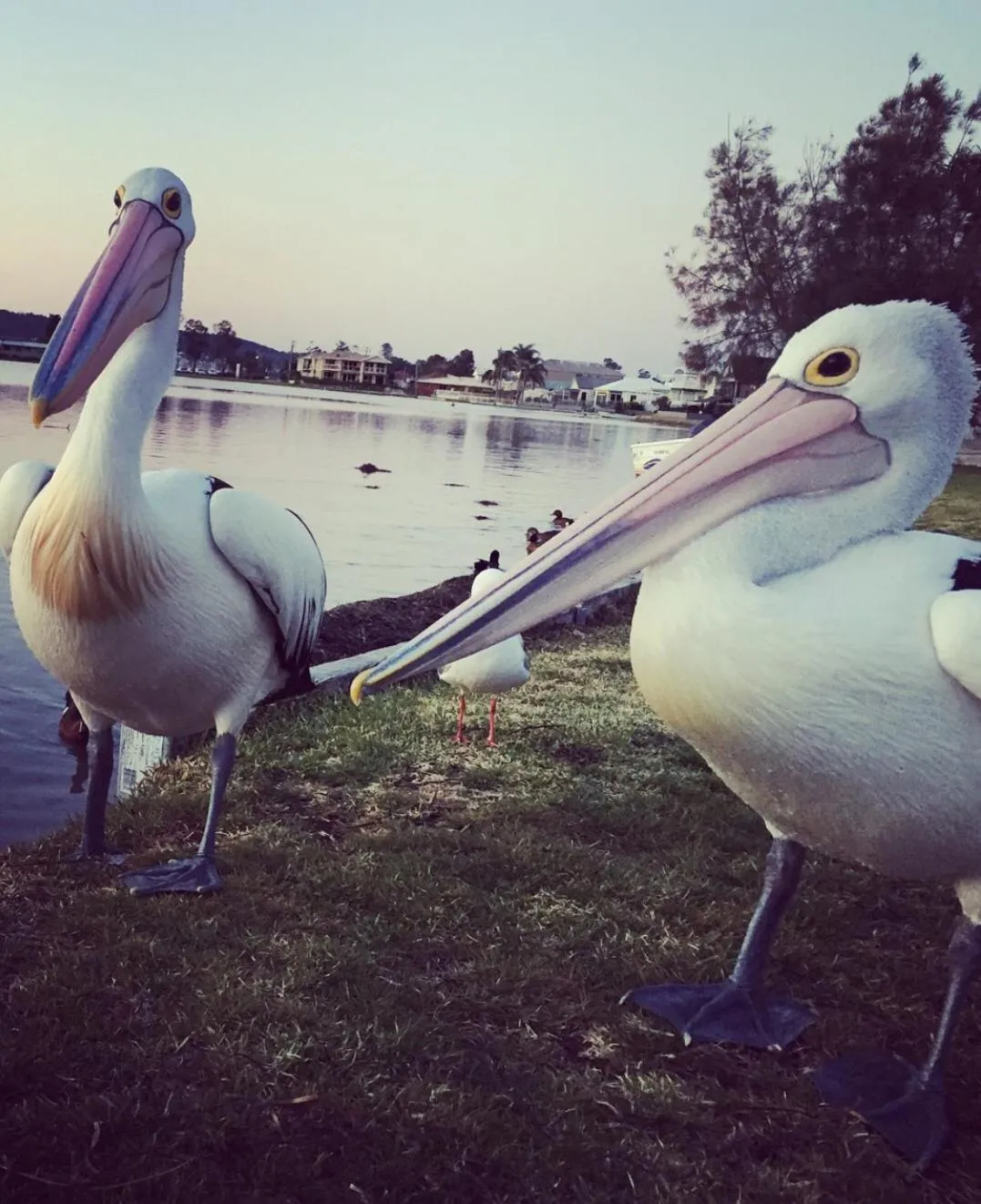 Day in Churchill's B&B twin spa getaway Studio