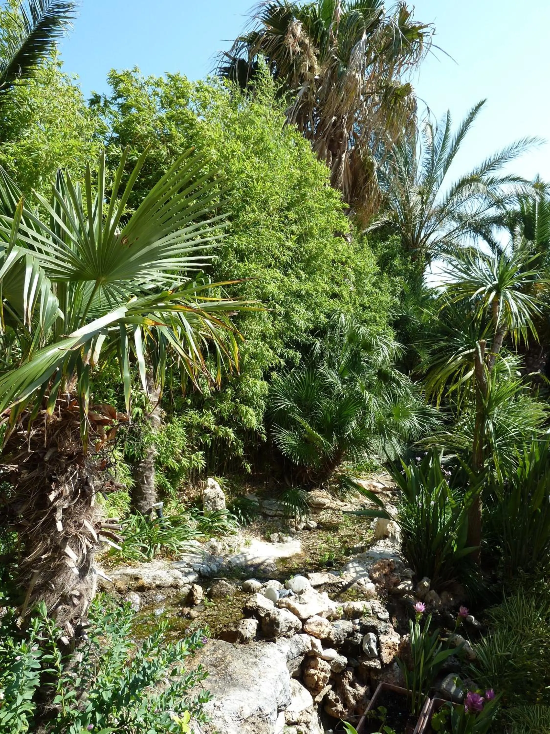 Garden in Sitia Bay