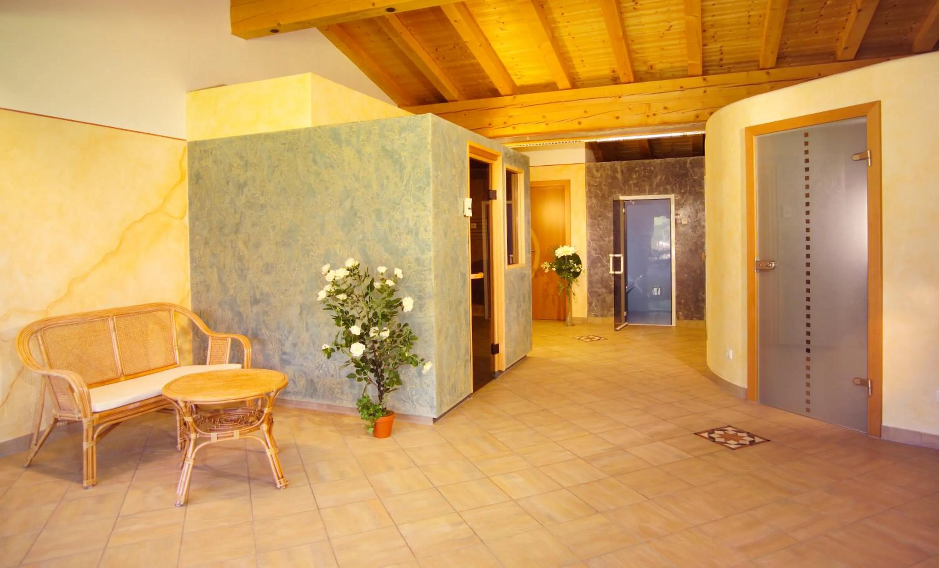 Spa and wellness centre/facilities in Activ Wellness - Appartement Schermerhof
