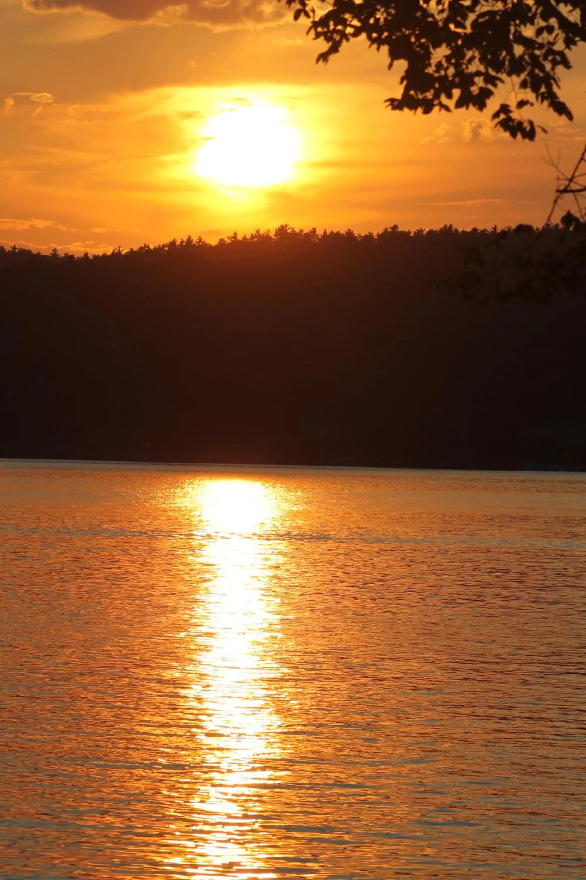 Night in Basin Harbor