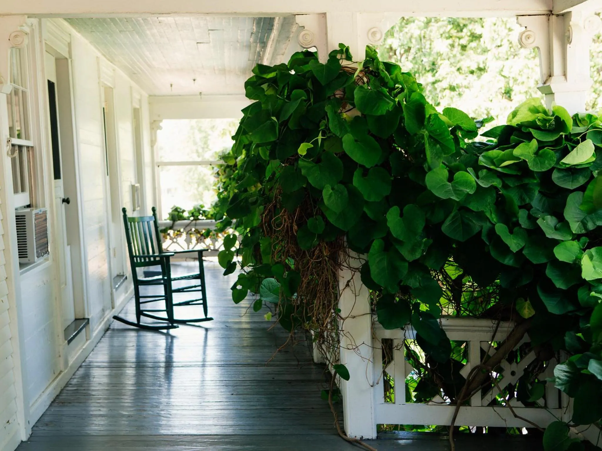 Decorative detail in Basin Harbor