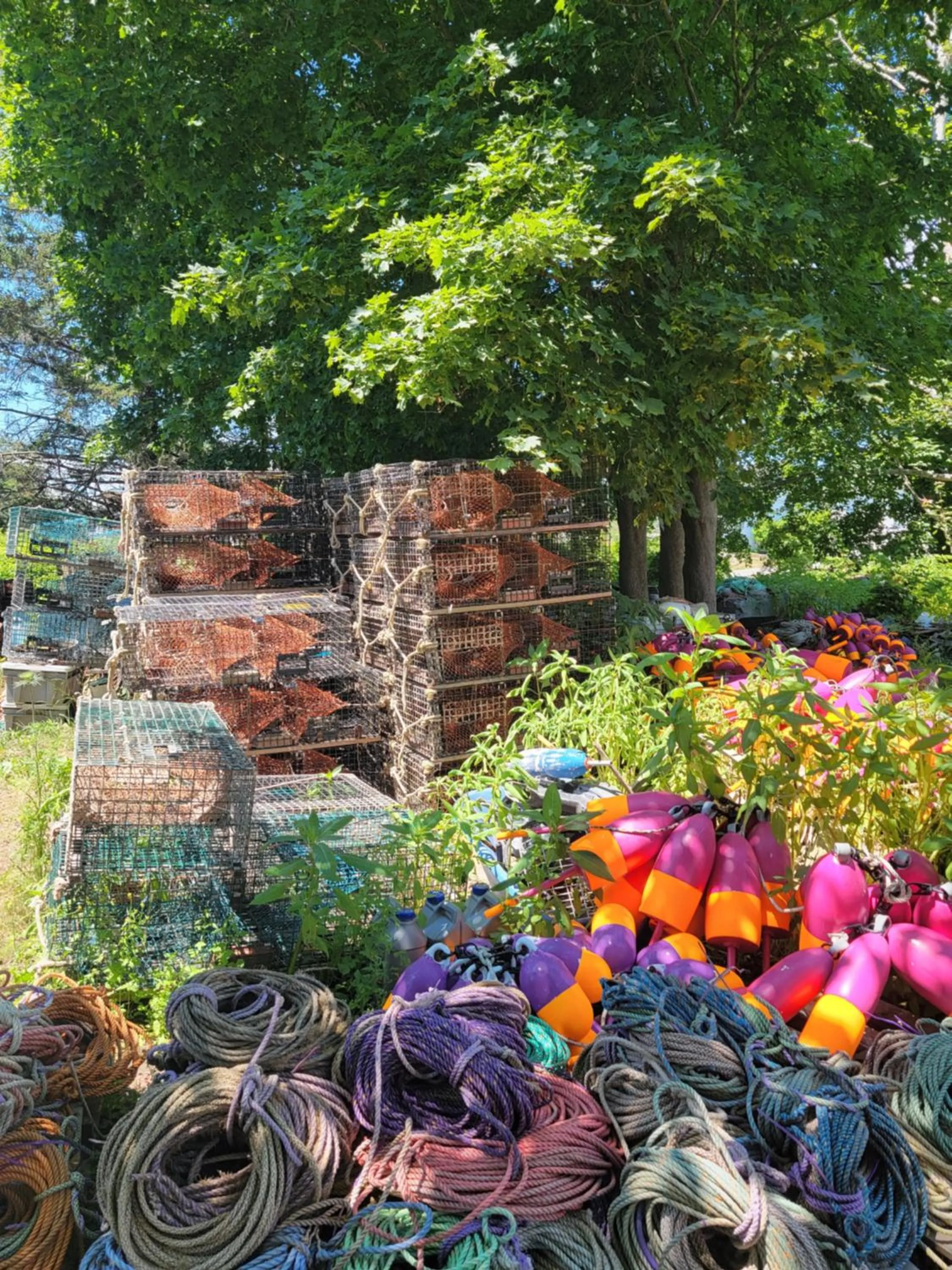 Nearby landmark in East Wind Inn on the Water