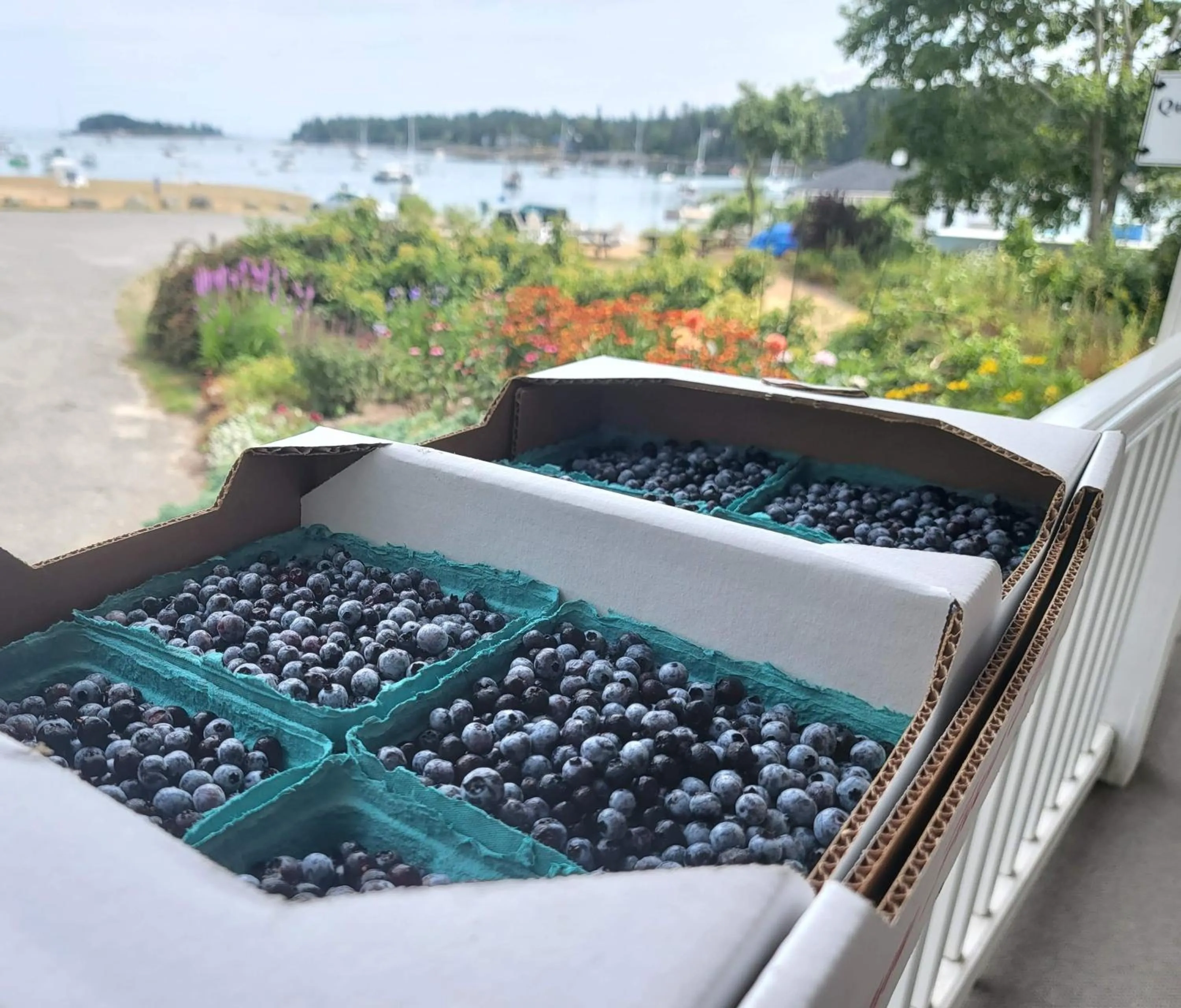 Food in East Wind Inn on the Water