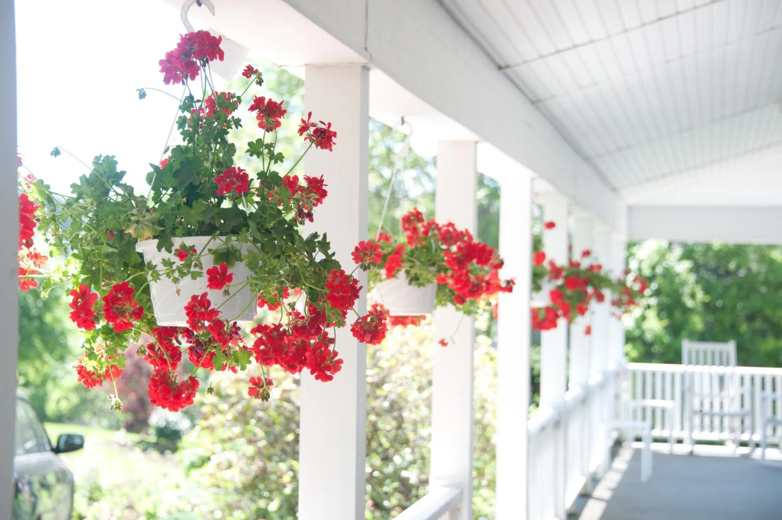 Balcony/Terrace in East Wind Inn on the Water