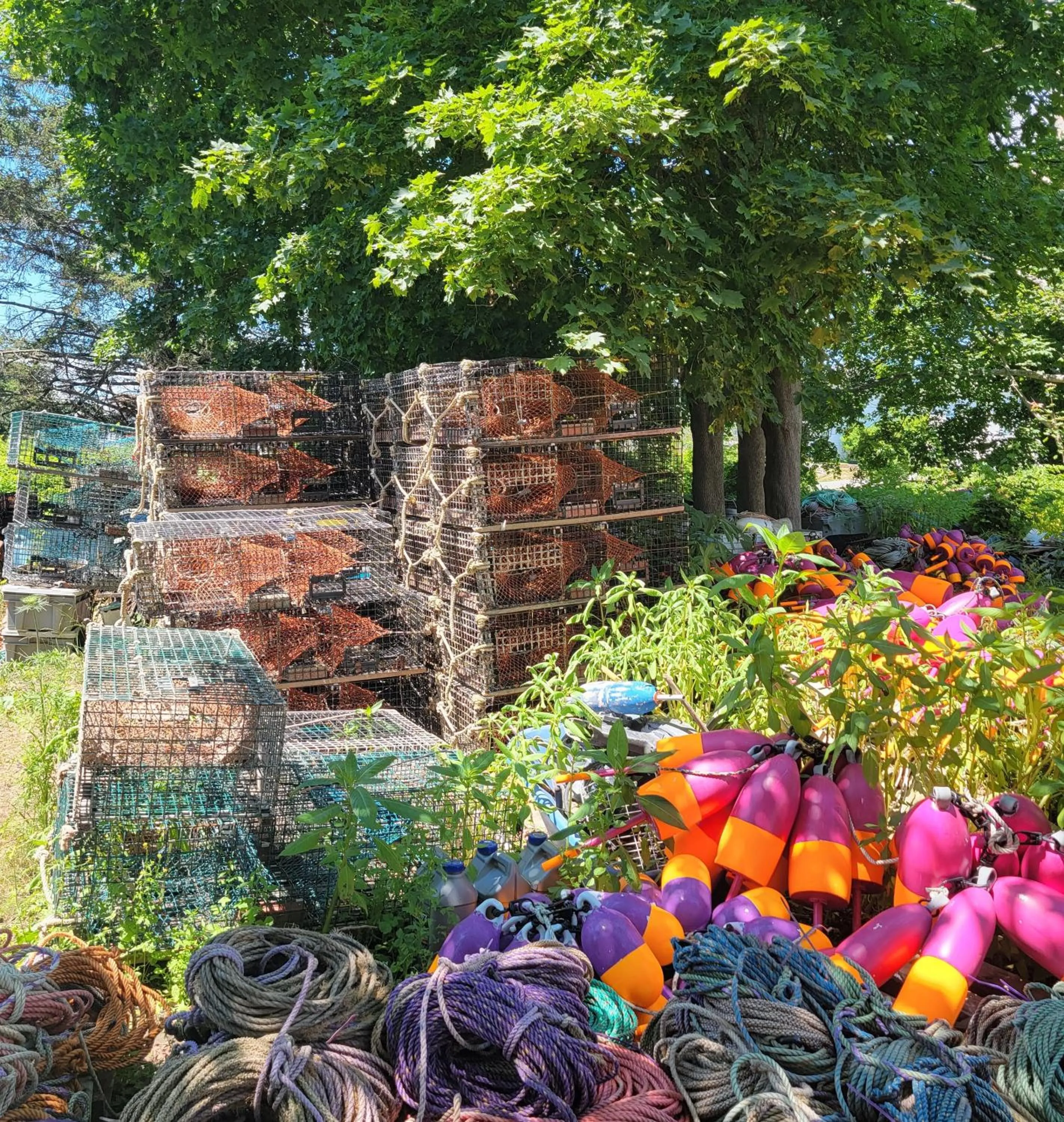 Entertainment in East Wind Inn on the Water