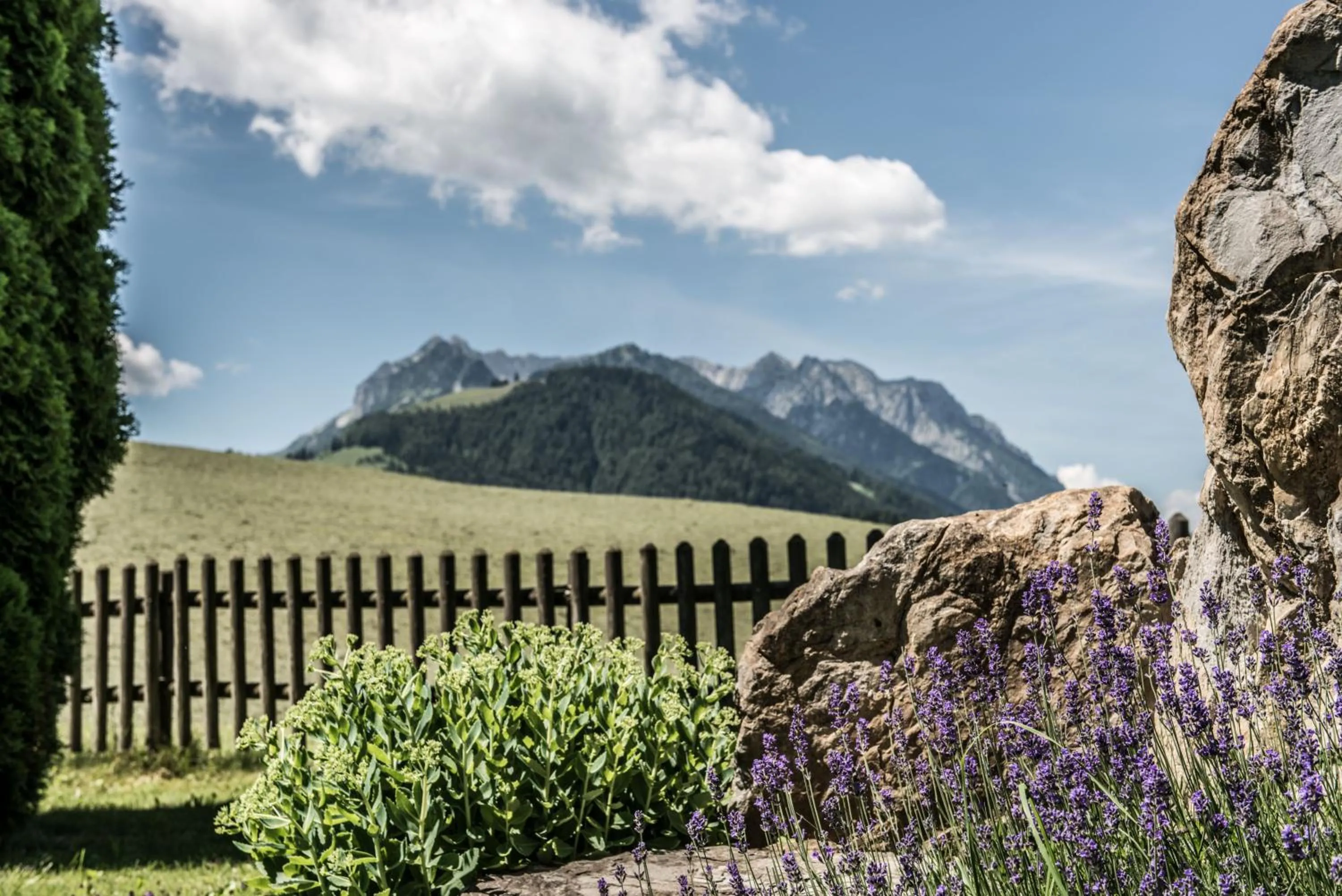 Garden in Hotel Riedl