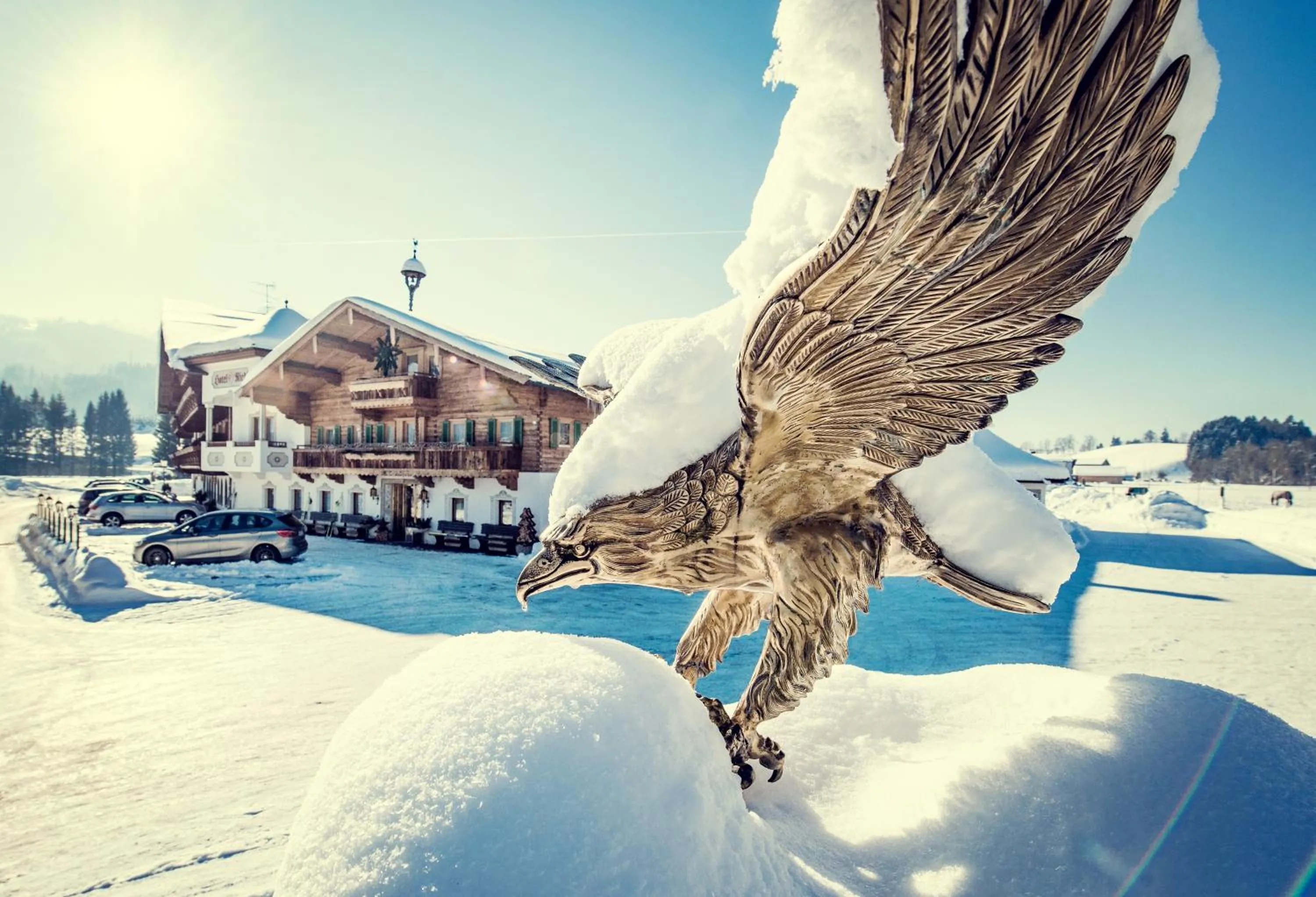 Property building in Hotel Riedl