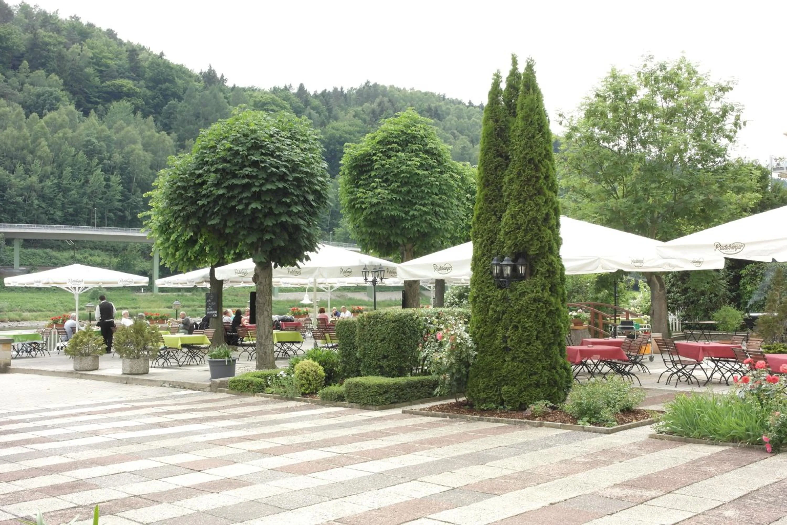 Garden in Elbhotel Bad Schandau