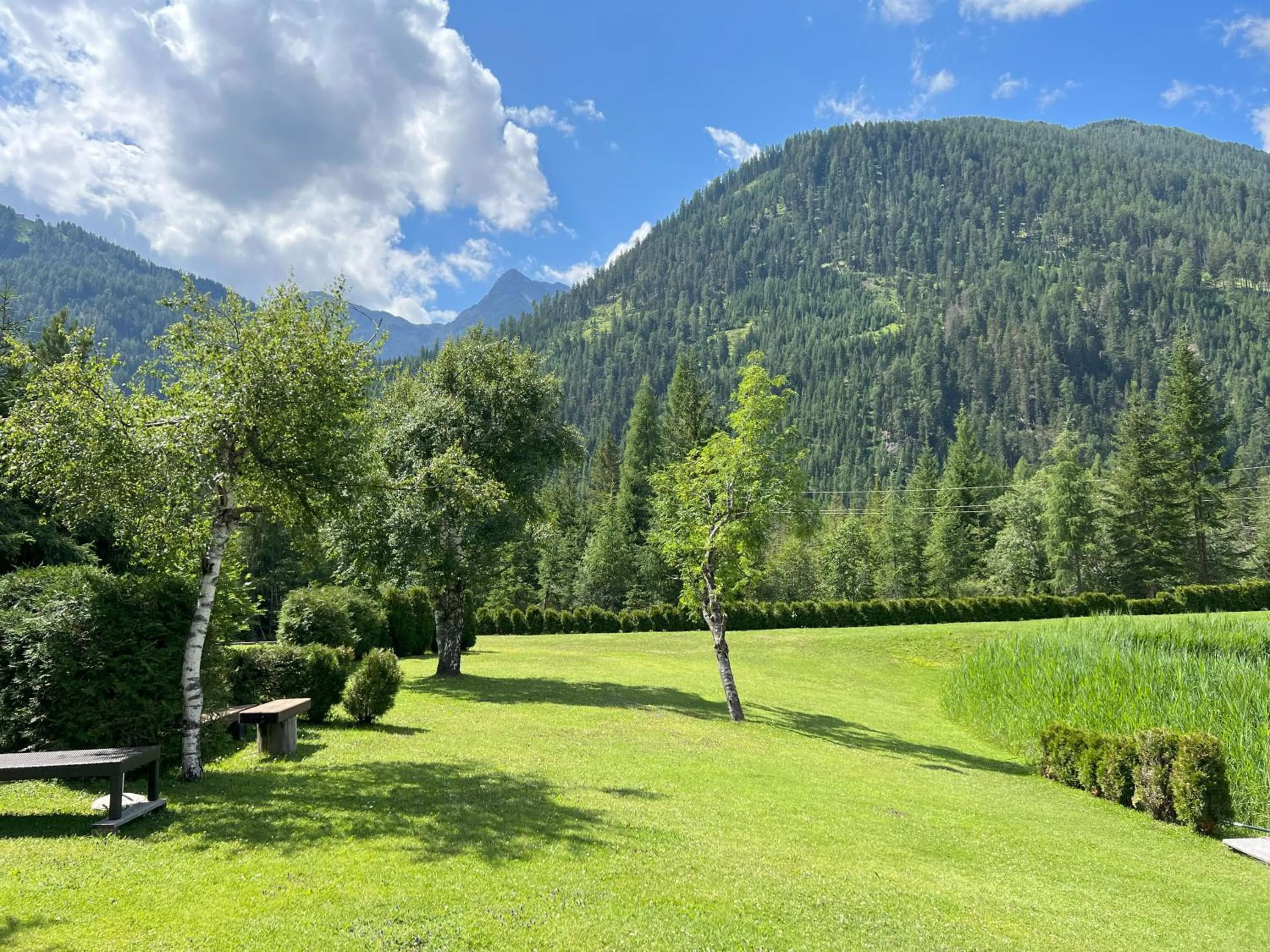Swimming pool in Hotel Garni Burger