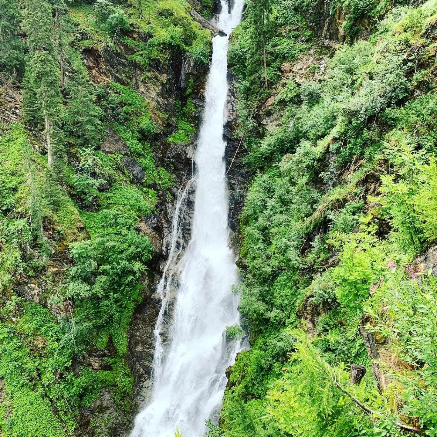 Hiking in Hotel Garni Burger