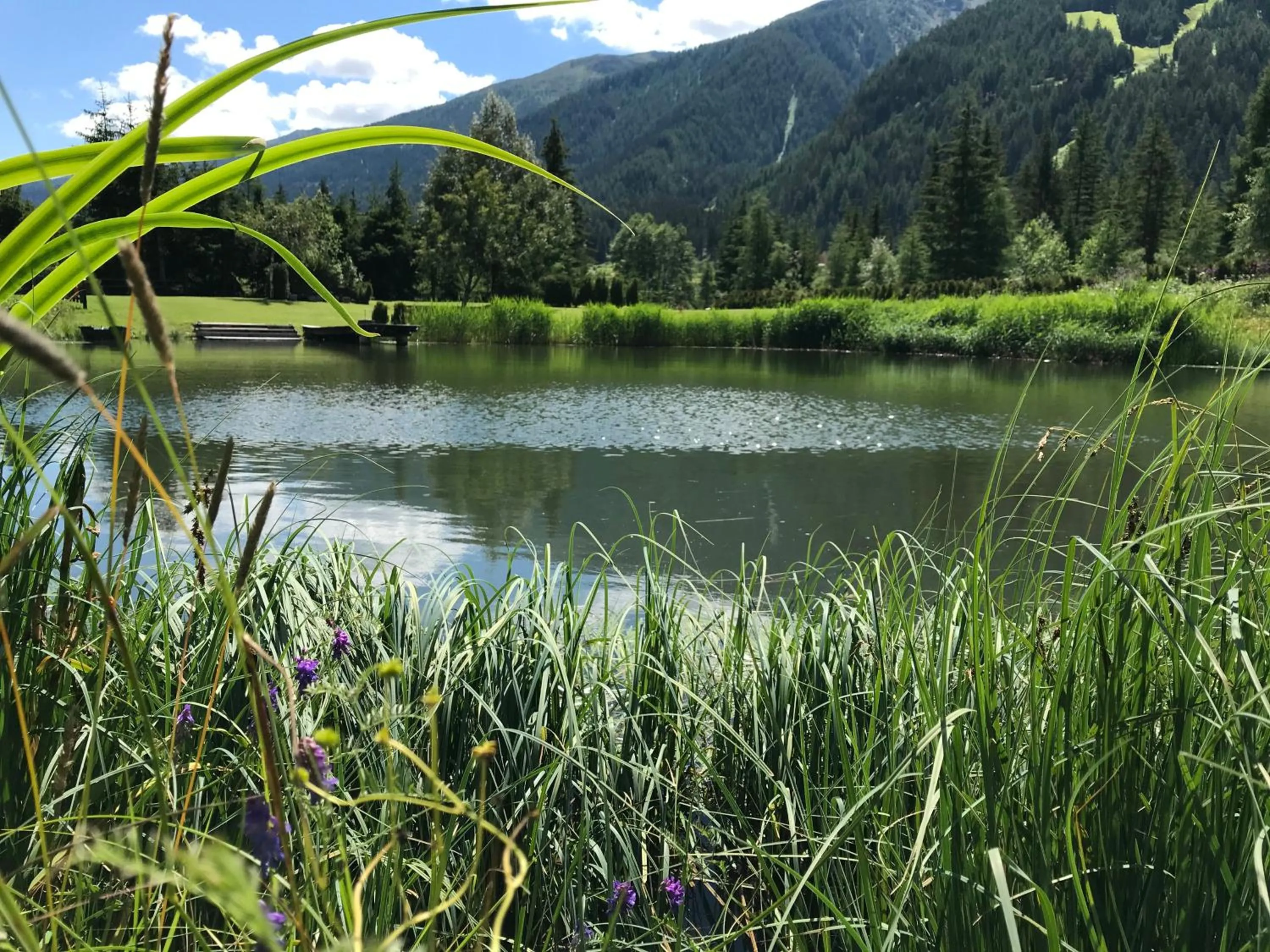 Decorative detail in Hotel Garni Burger