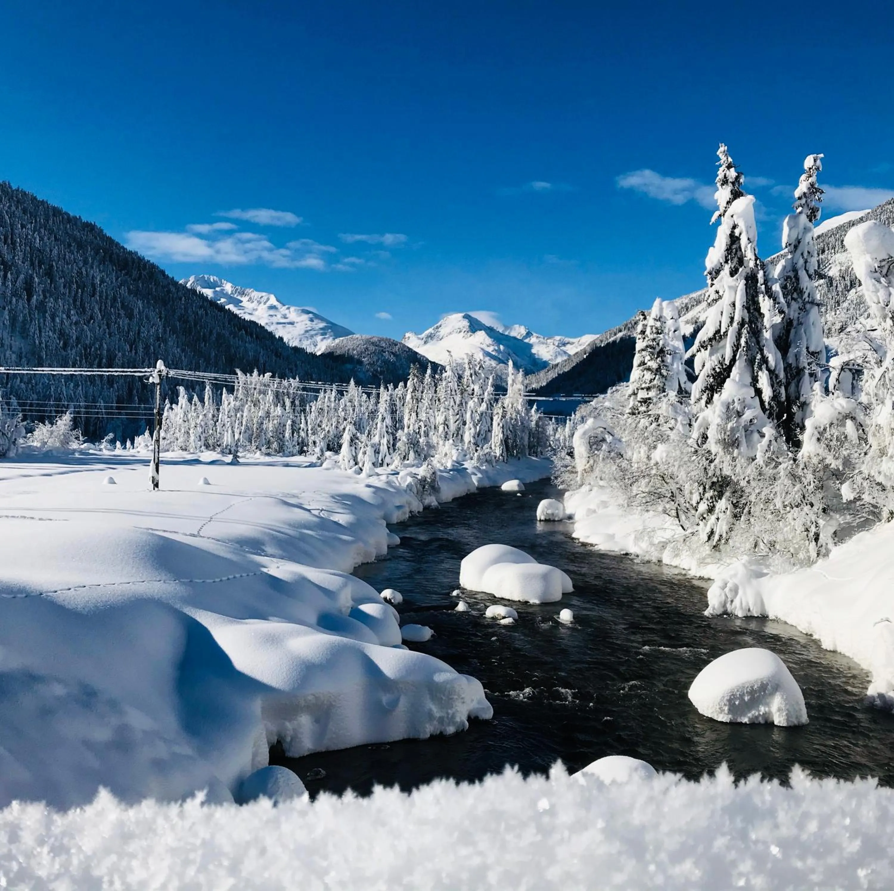 Natural landscape in Hotel Garni Burger