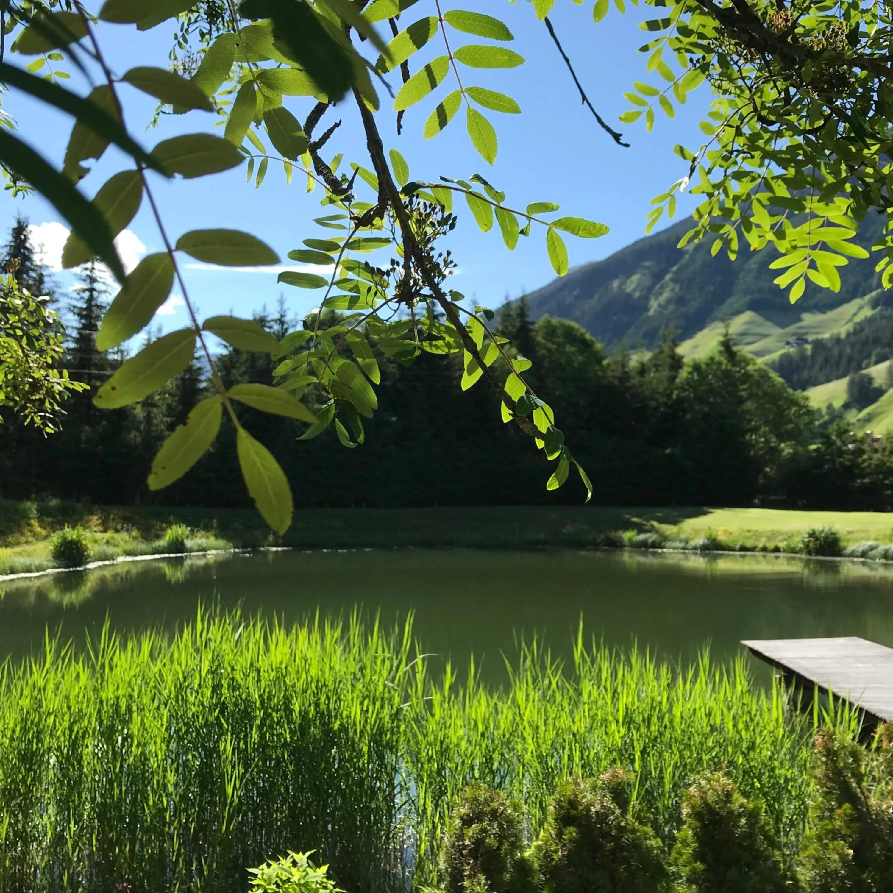 Decorative detail in Hotel Garni Burger
