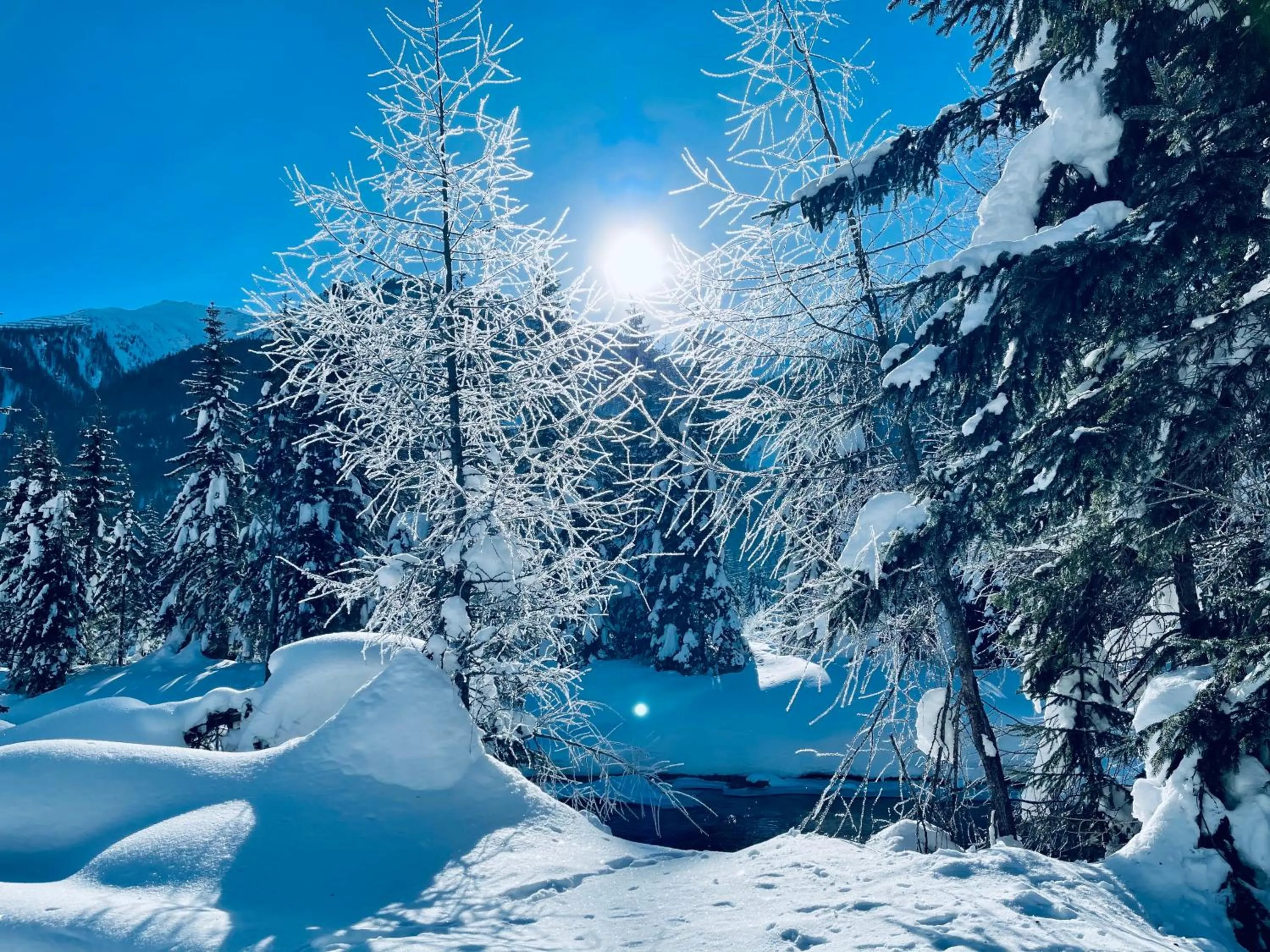 Natural landscape in Hotel Garni Burger