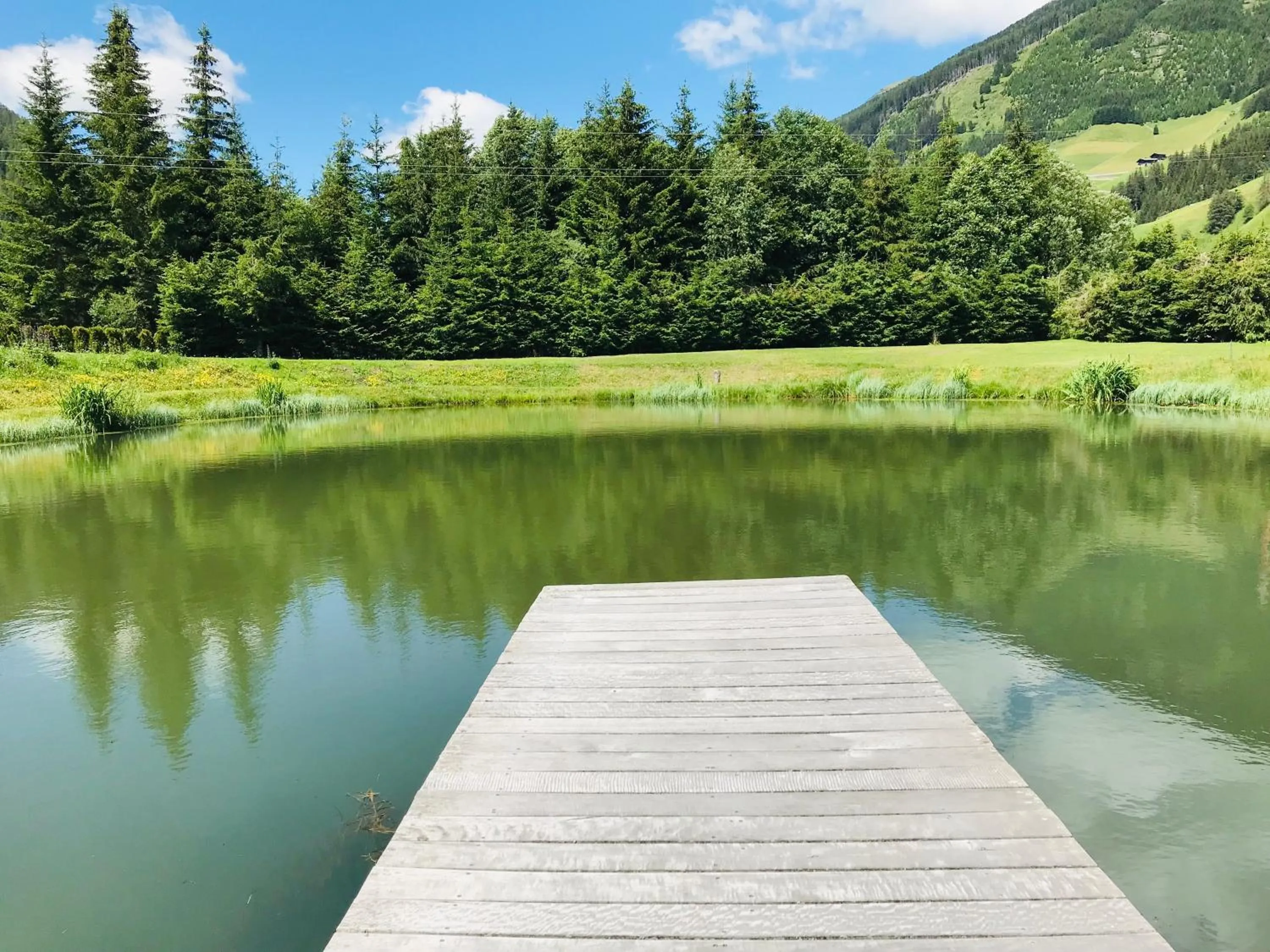 Decorative detail in Hotel Garni Burger