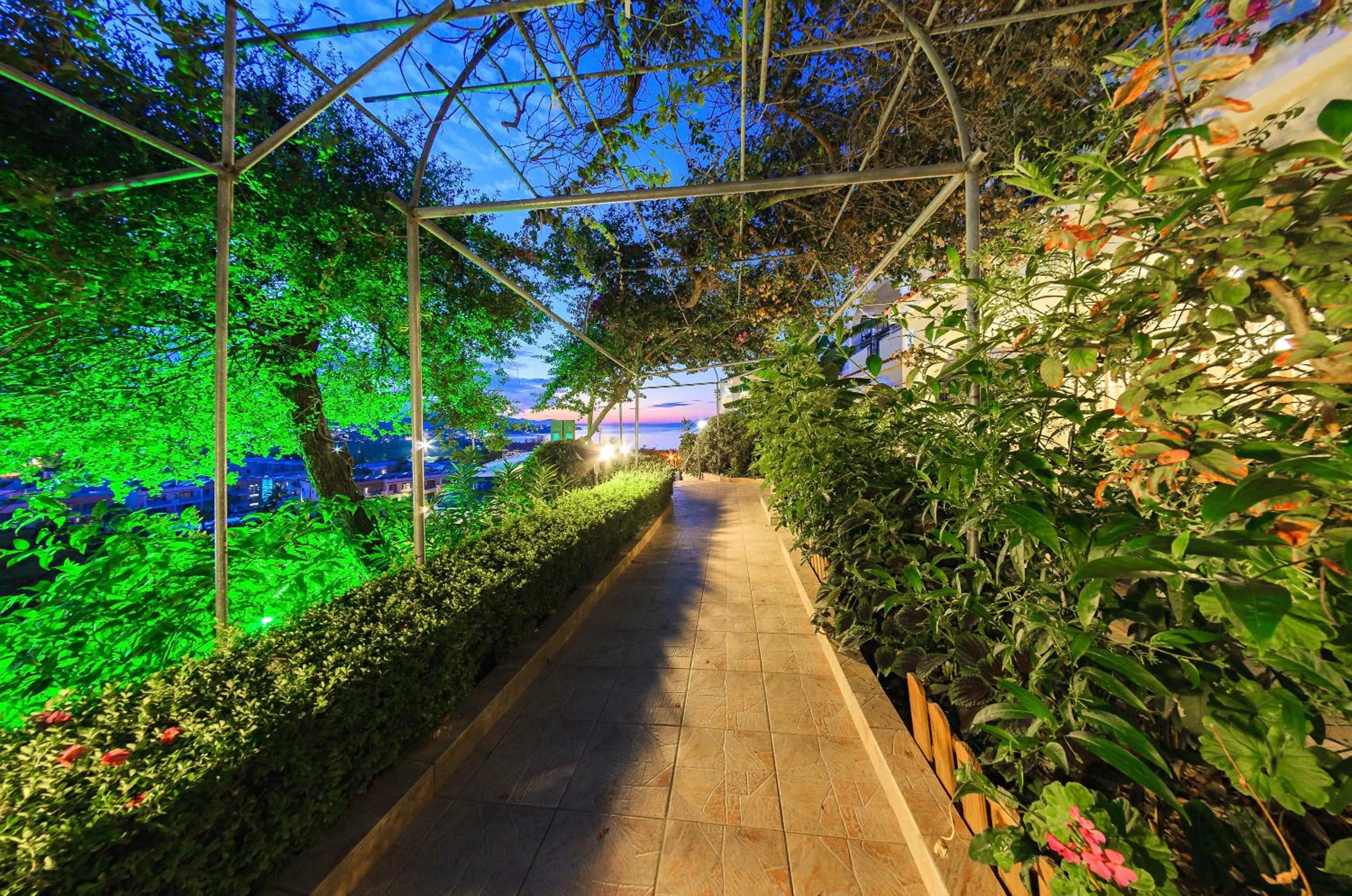 Garden in Zante Palace