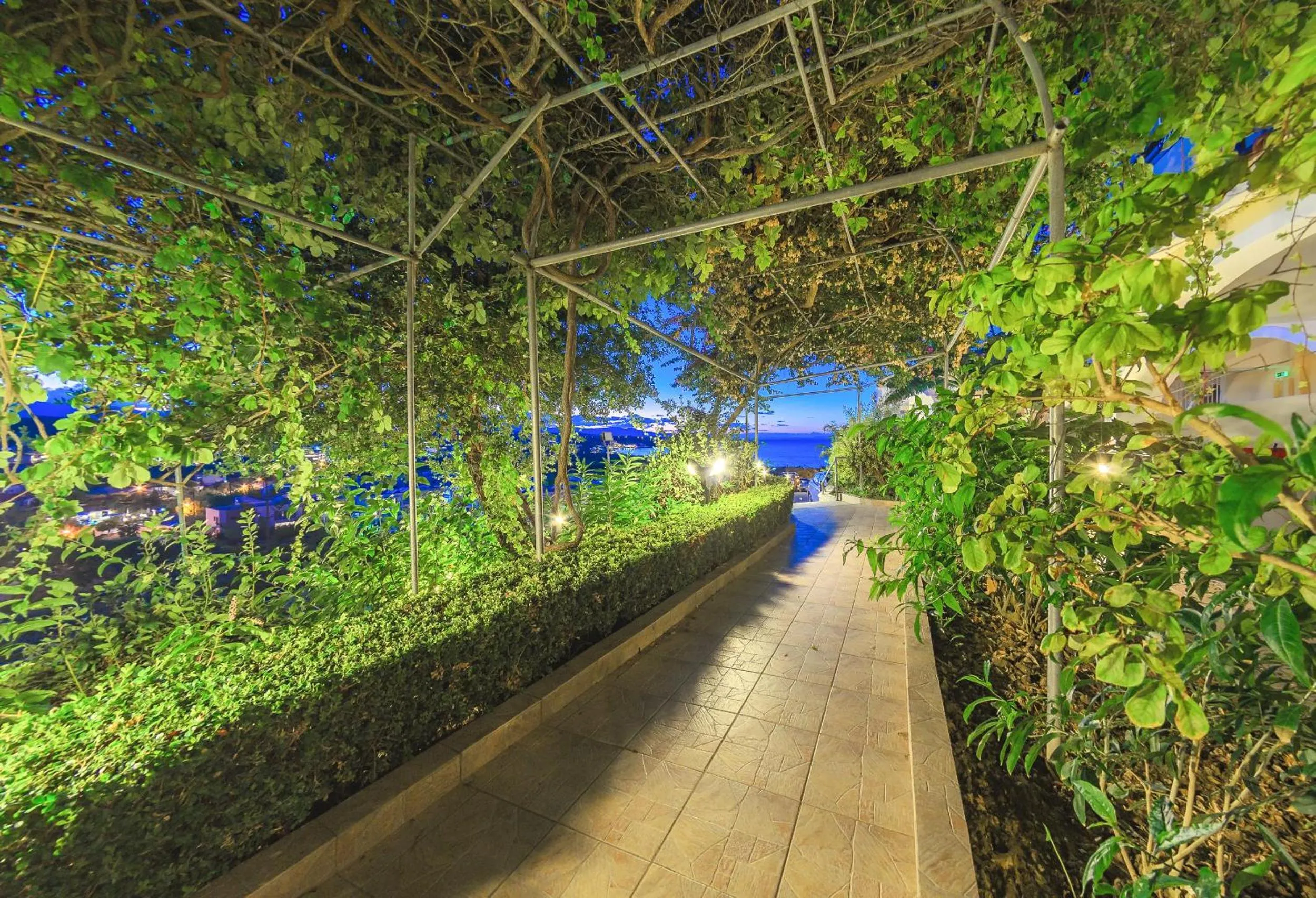 Garden view in Zante Palace