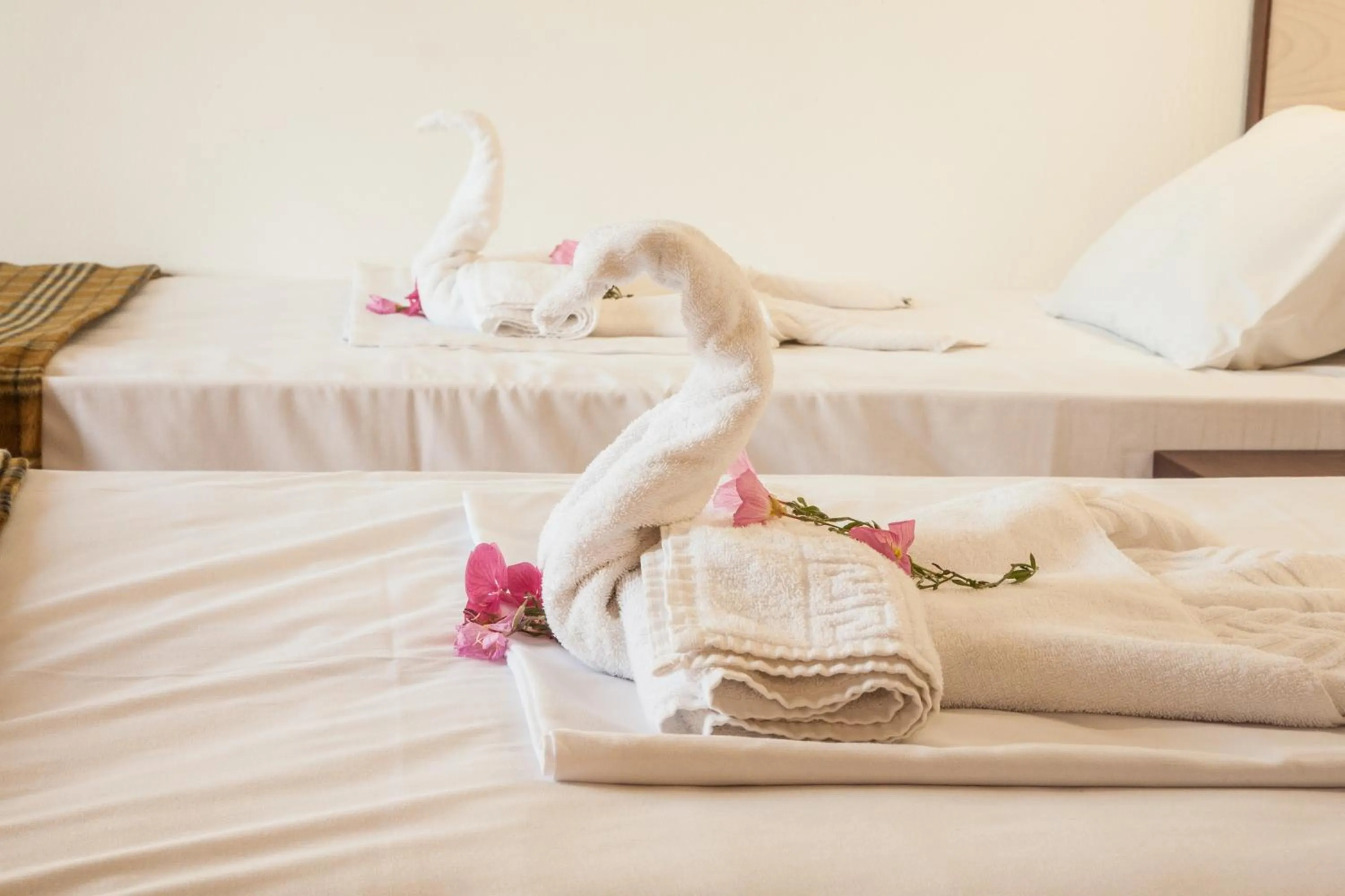 Decorative detail, Bed in Ekavi Apartments