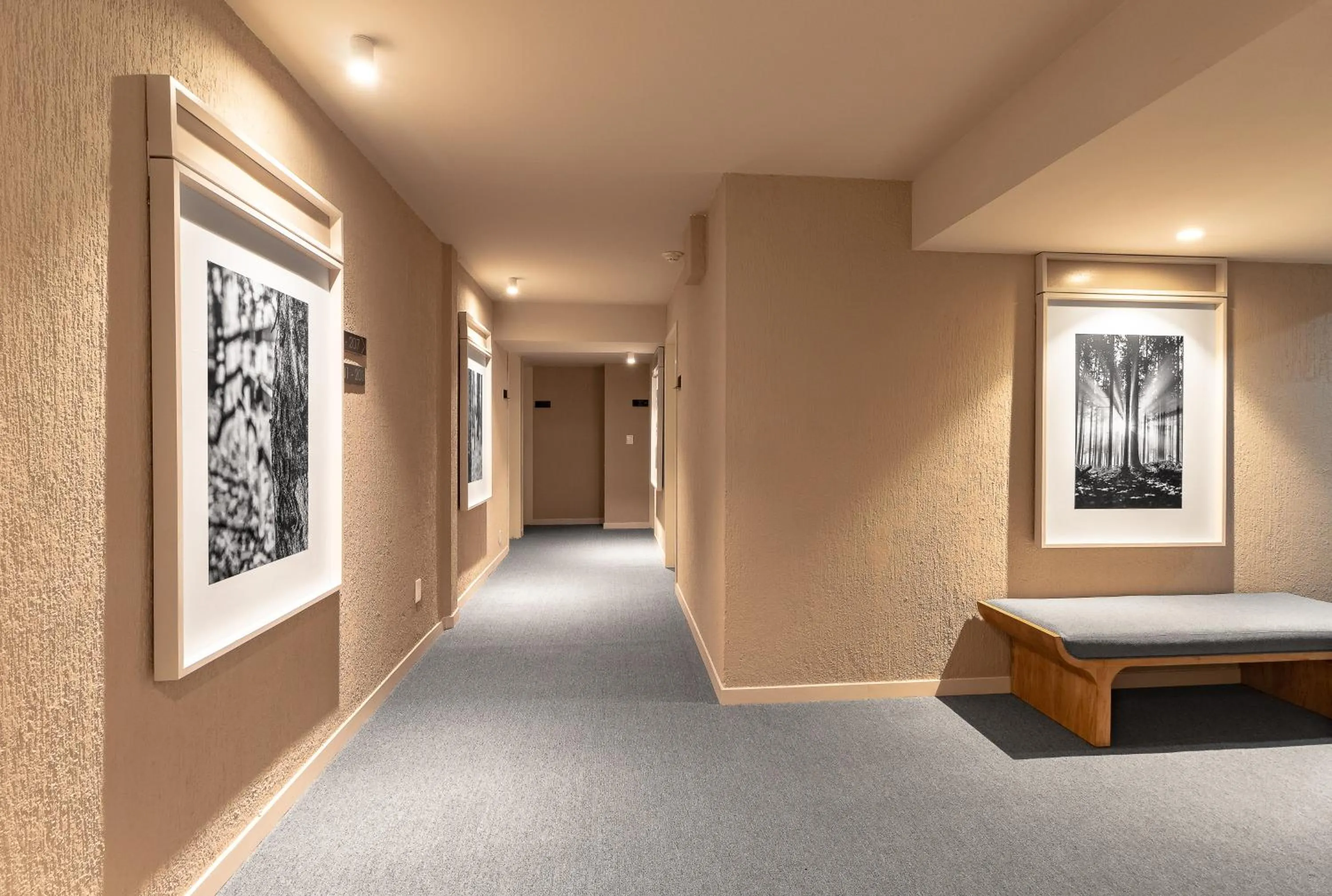 Decorative detail in Hotel Fuente Del Bosque