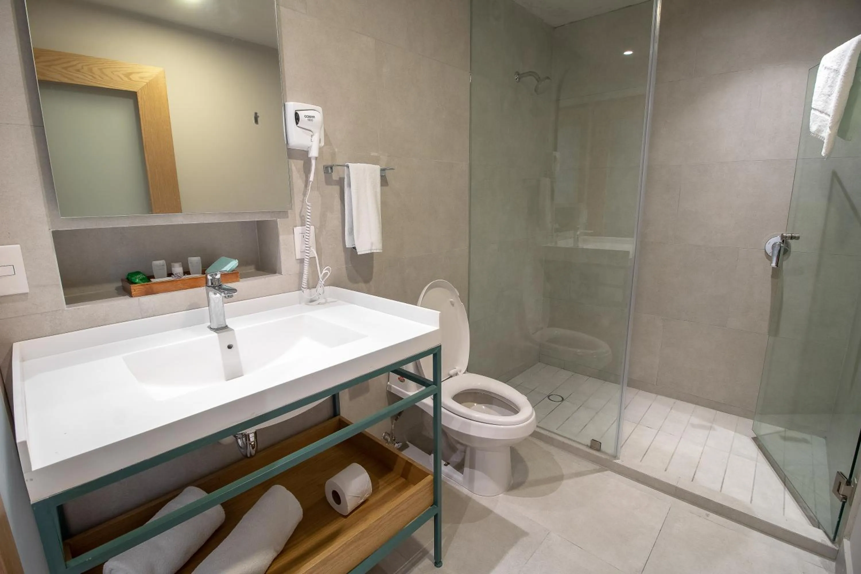 Shower in Hotel Fuente Del Bosque