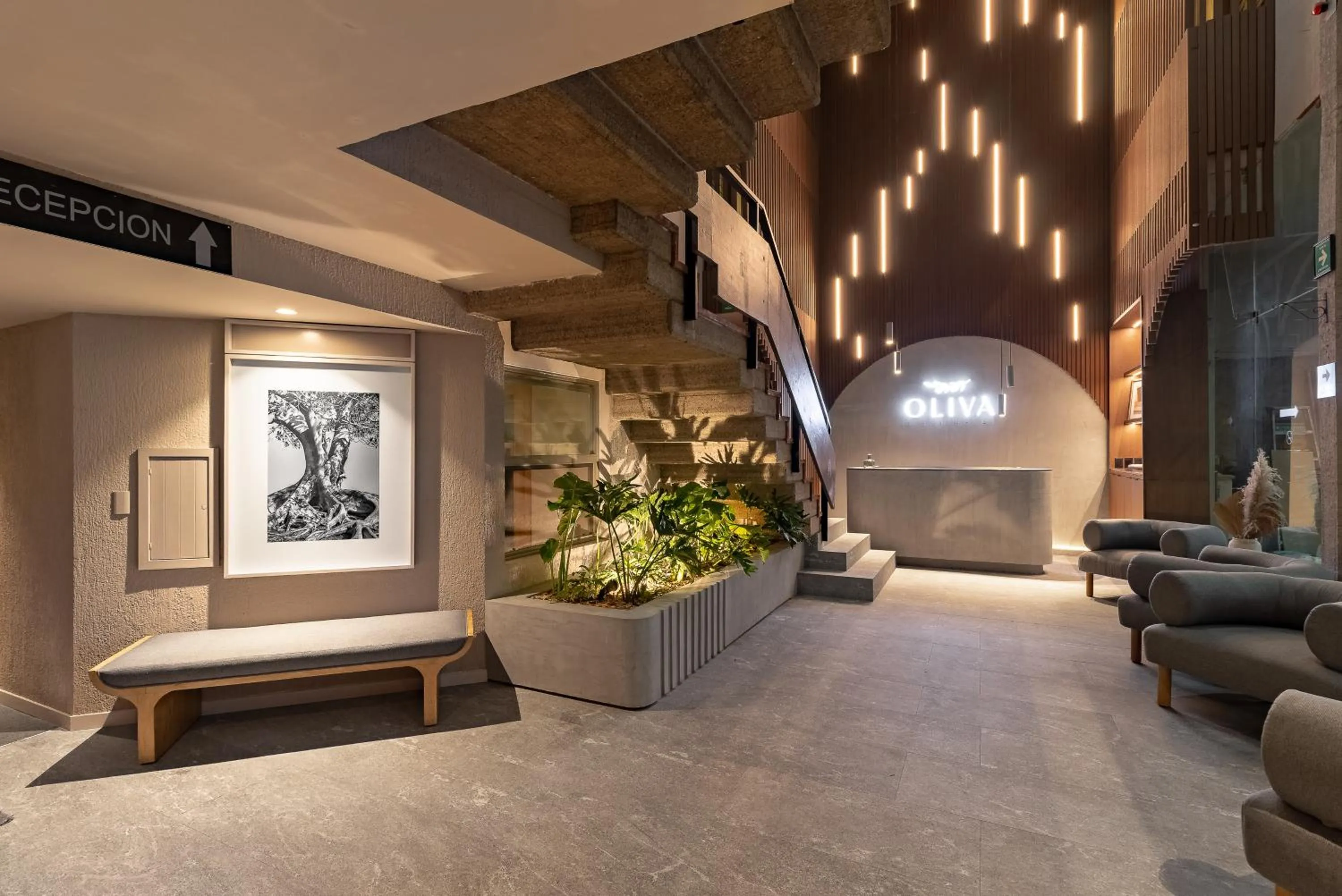 Living room in Hotel Fuente Del Bosque