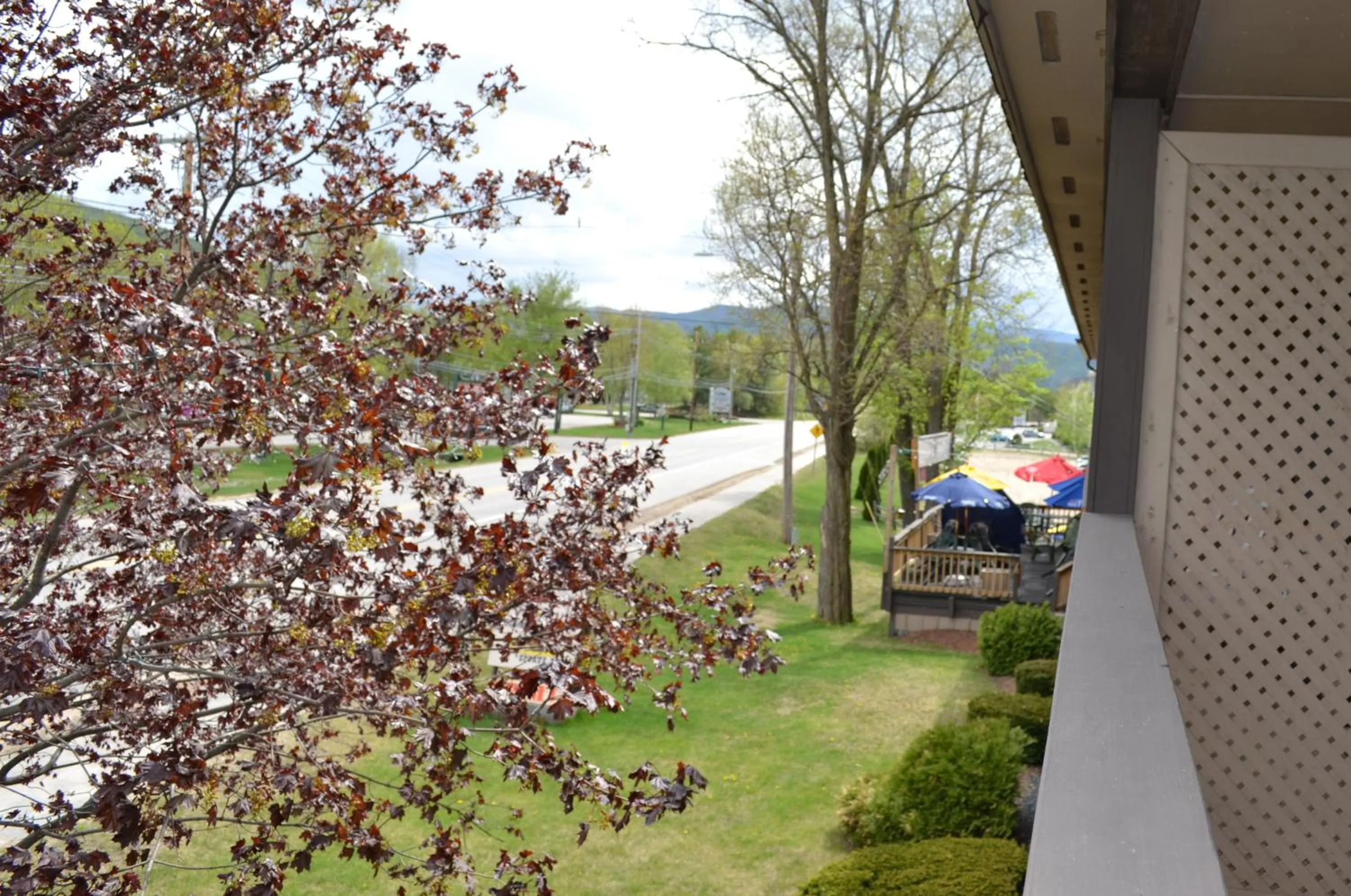 View (from property/room) in Kancamagus Lodge