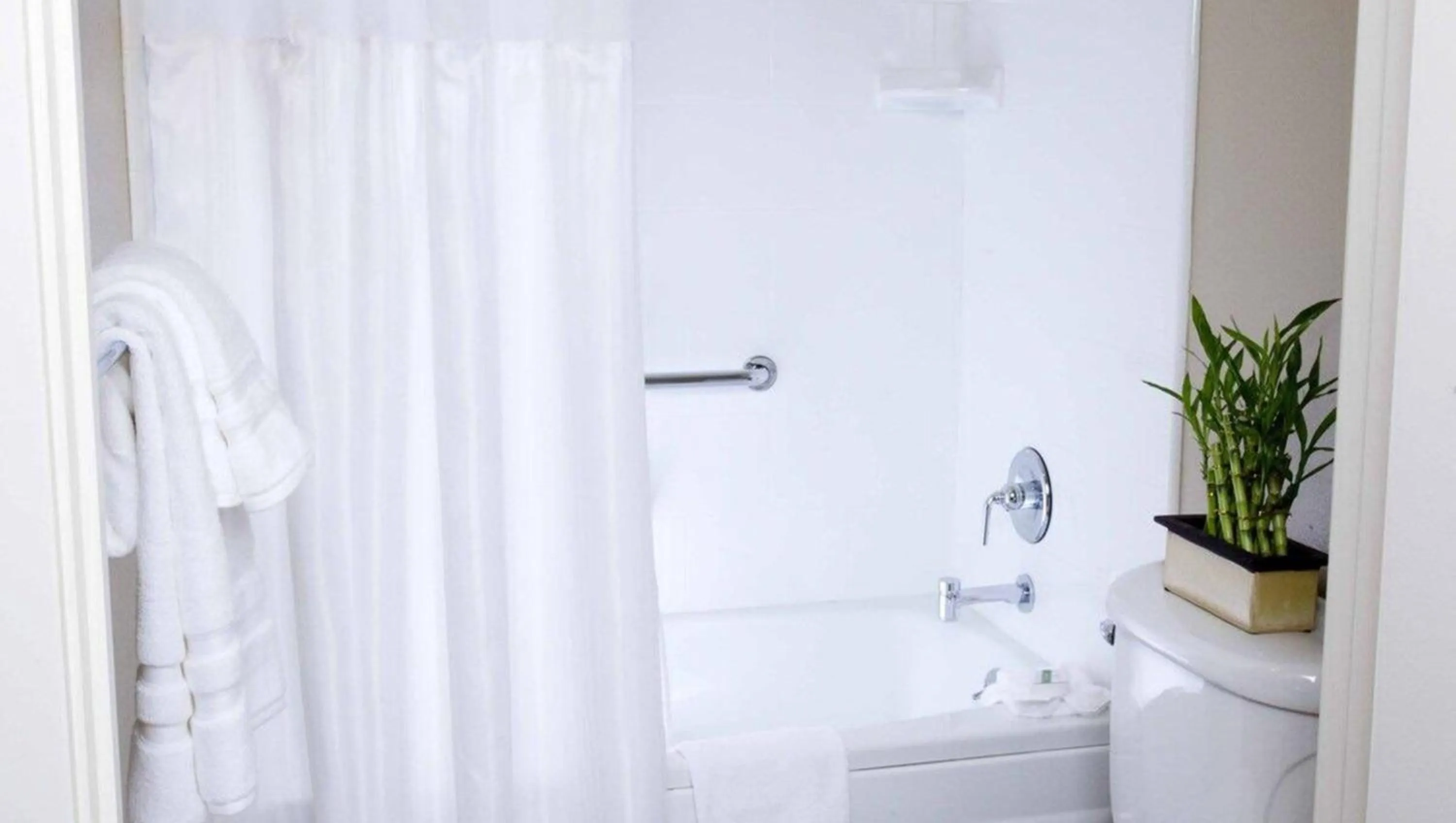 Bathroom in The Zen Hotel Palo Alto
