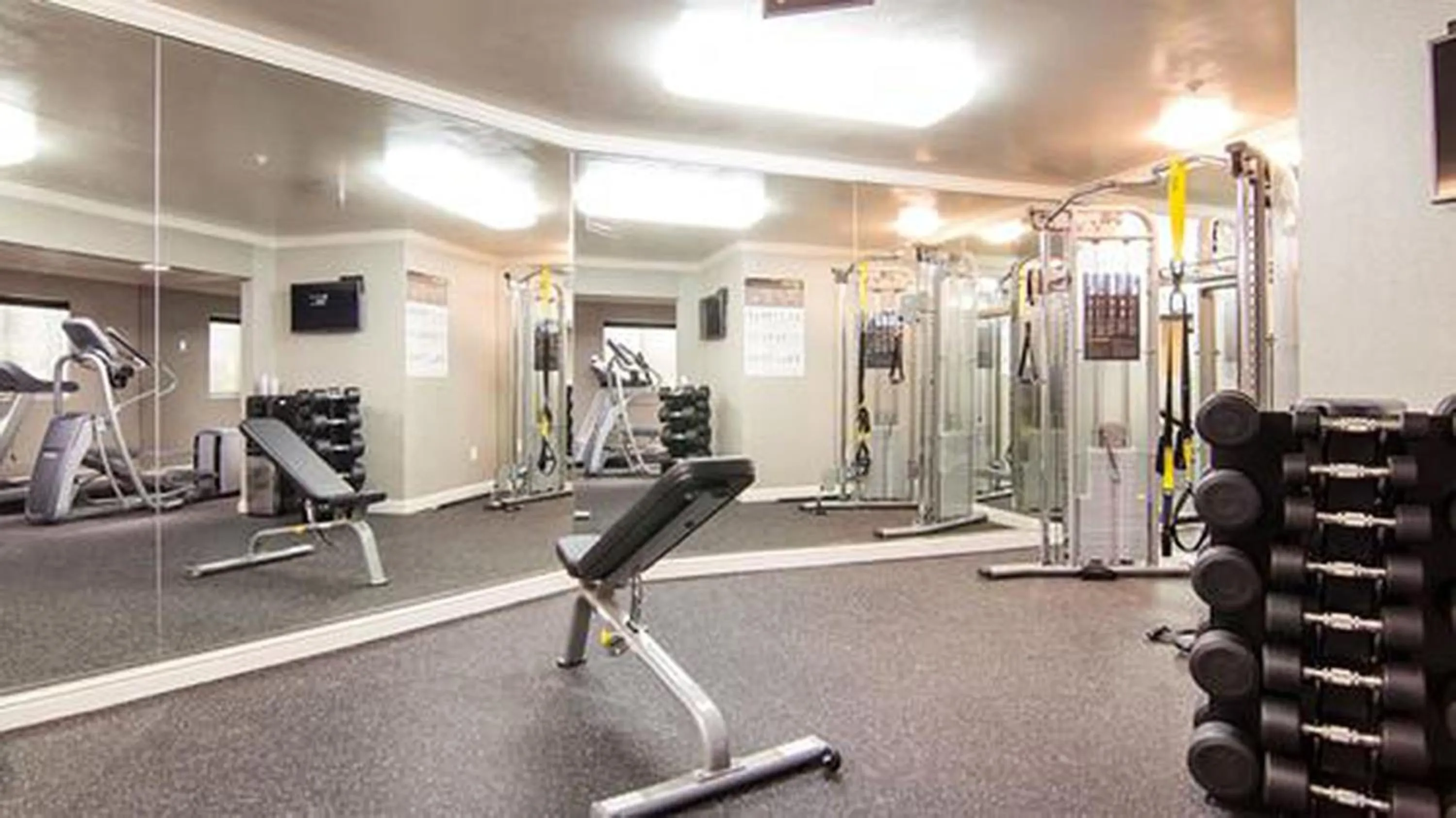 Fitness centre/facilities in The Zen Hotel Palo Alto