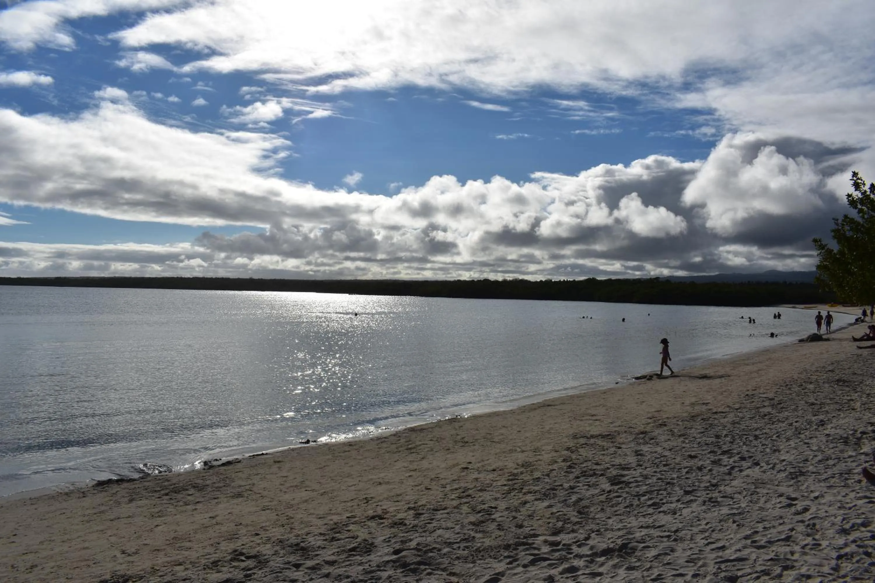 Beach in Hotel San Vicente Galapagos