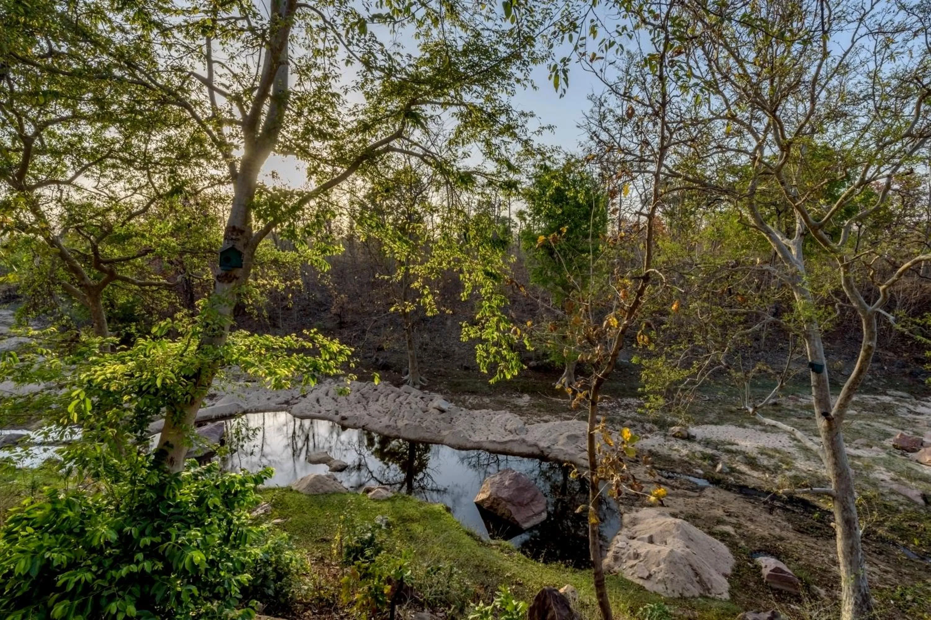 River view in The Riverwood Forest Retreat Pench