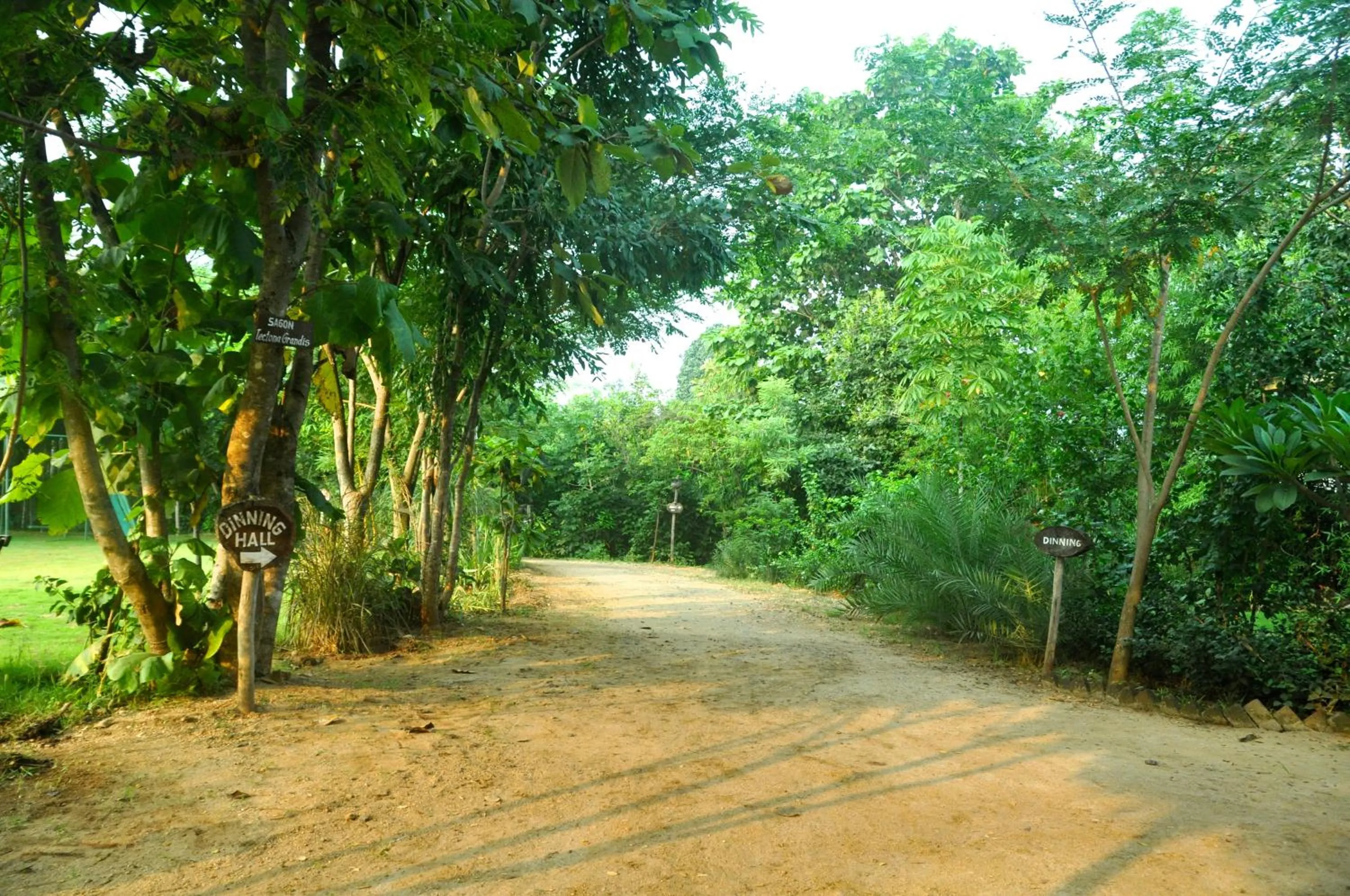 Garden in The Riverwood Forest Retreat Pench