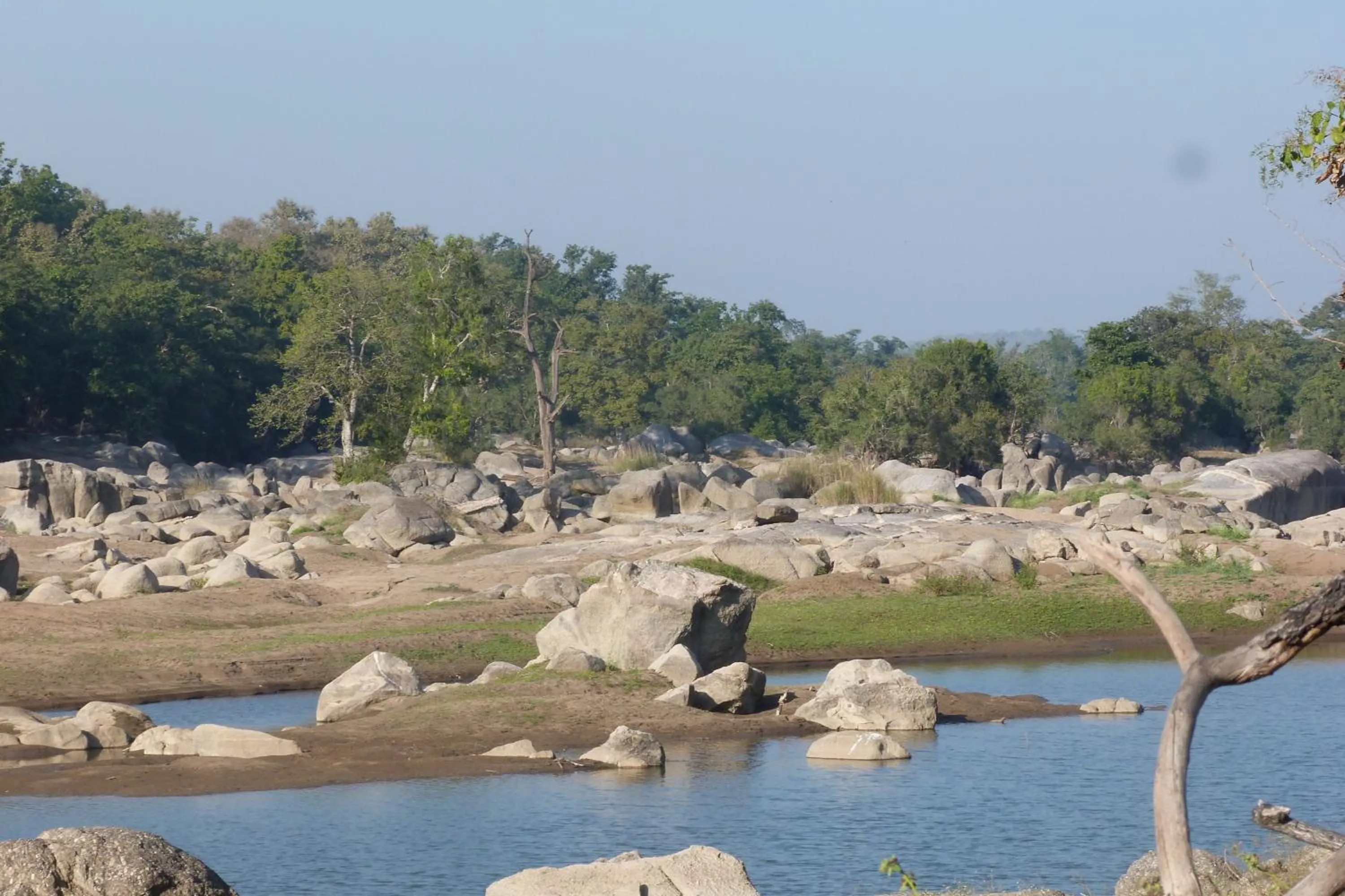 Nearby landmark in The Riverwood Forest Retreat Pench