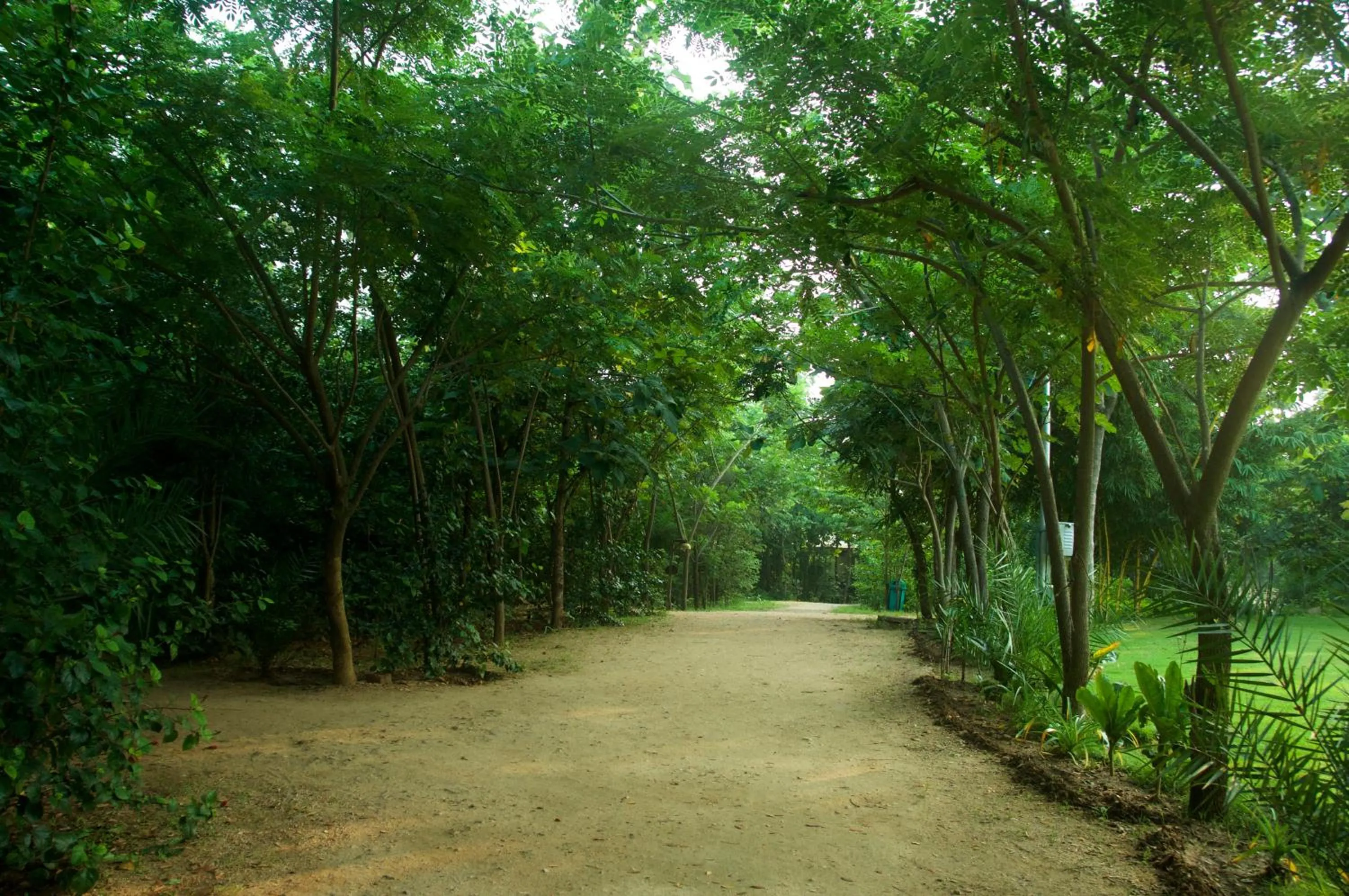 Garden in The Riverwood Forest Retreat Pench