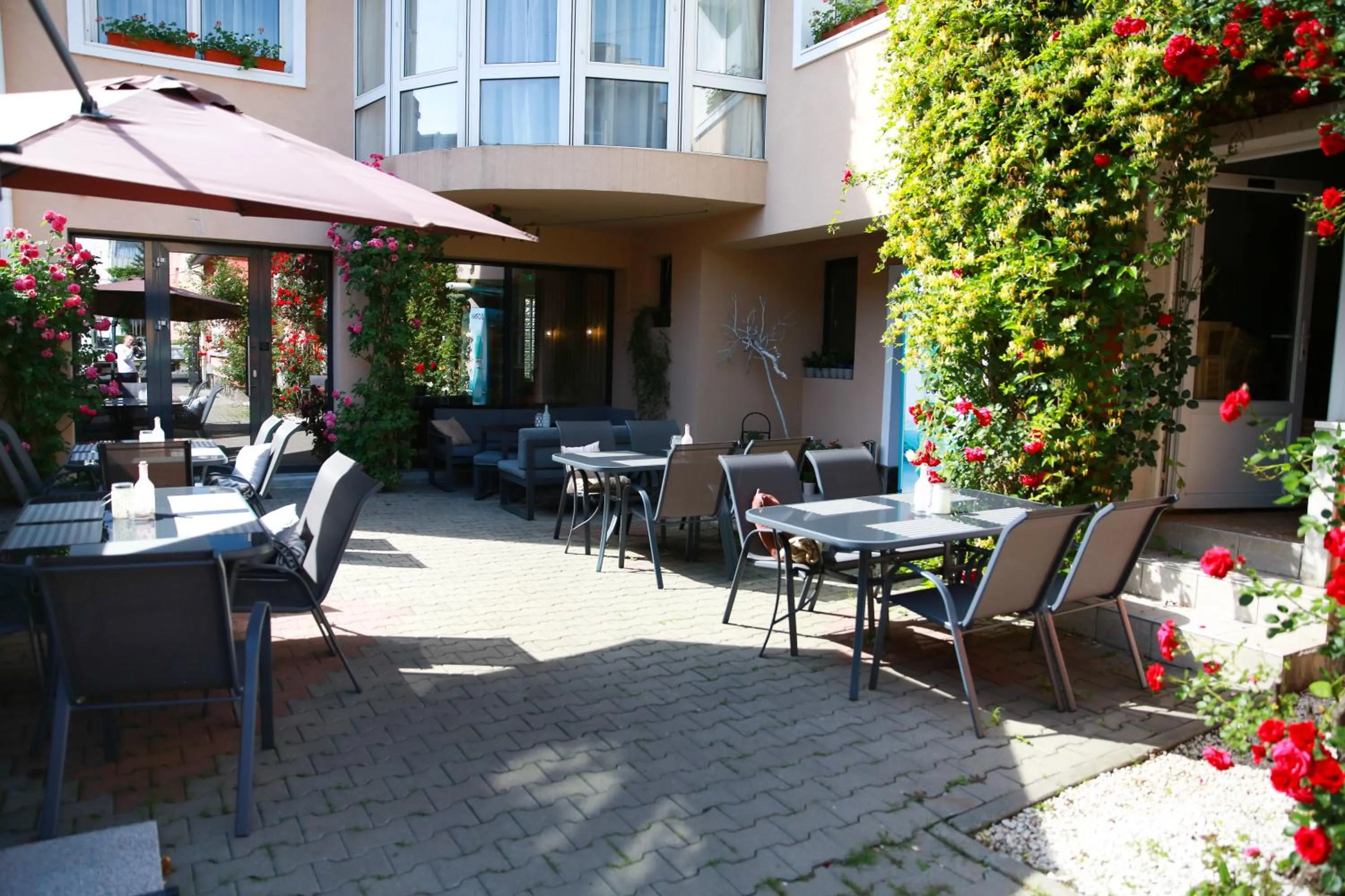 Spring in Pensiunea David