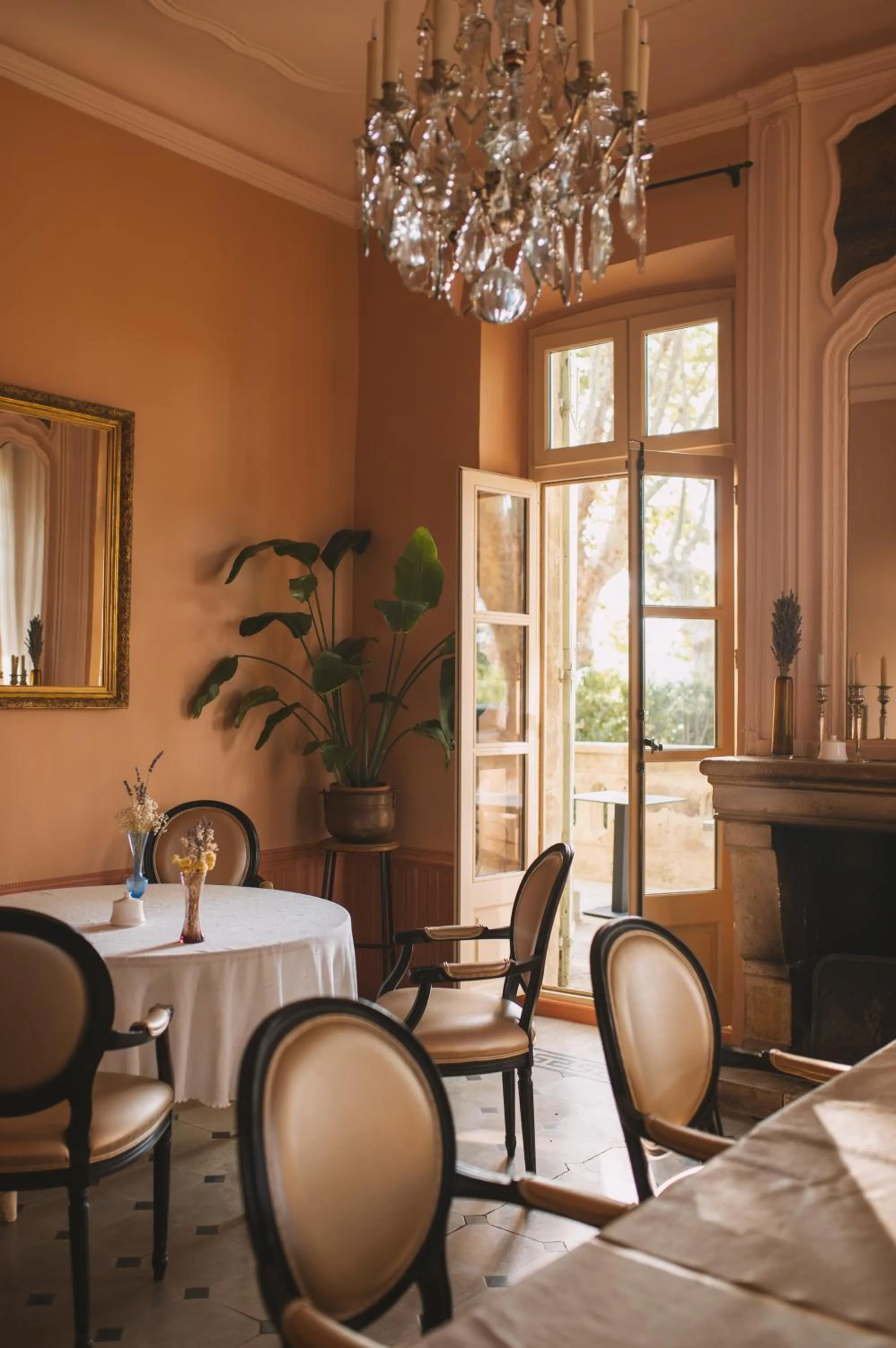 Restaurant/places to eat in Auberge de la Treille - Chambres d'Hôtes